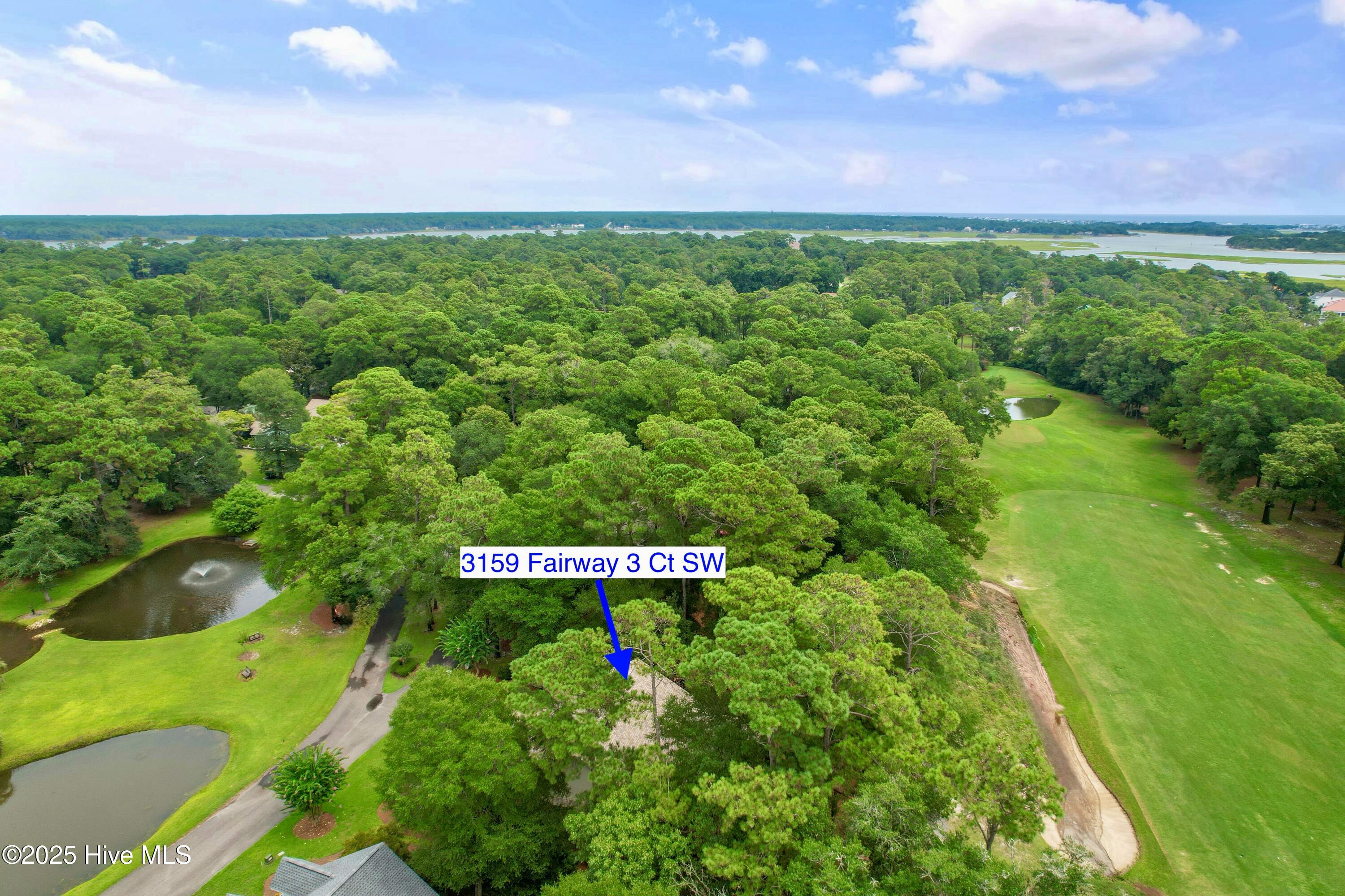 100522633 | Photo 45