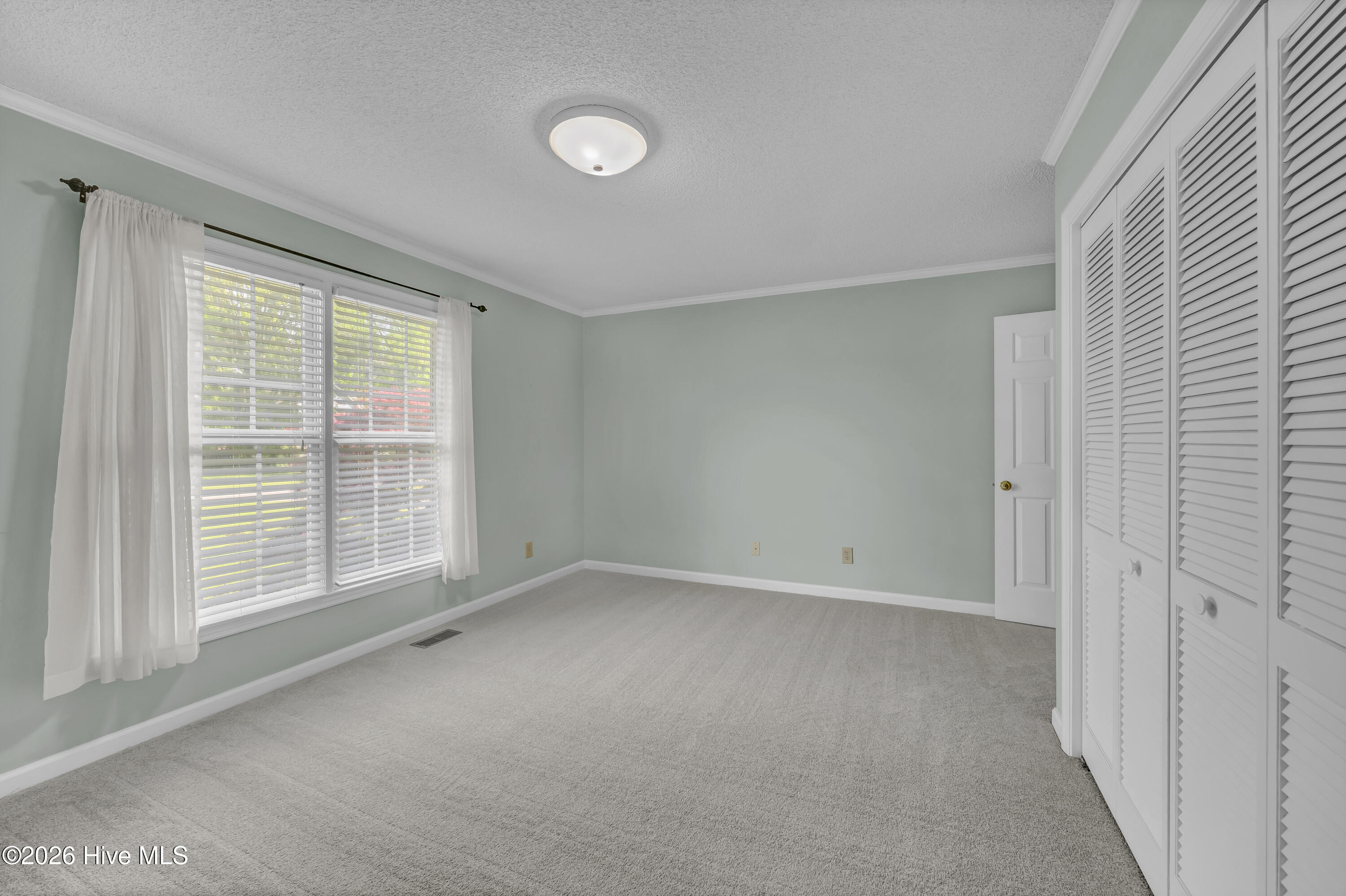 100567134 | Photo 21