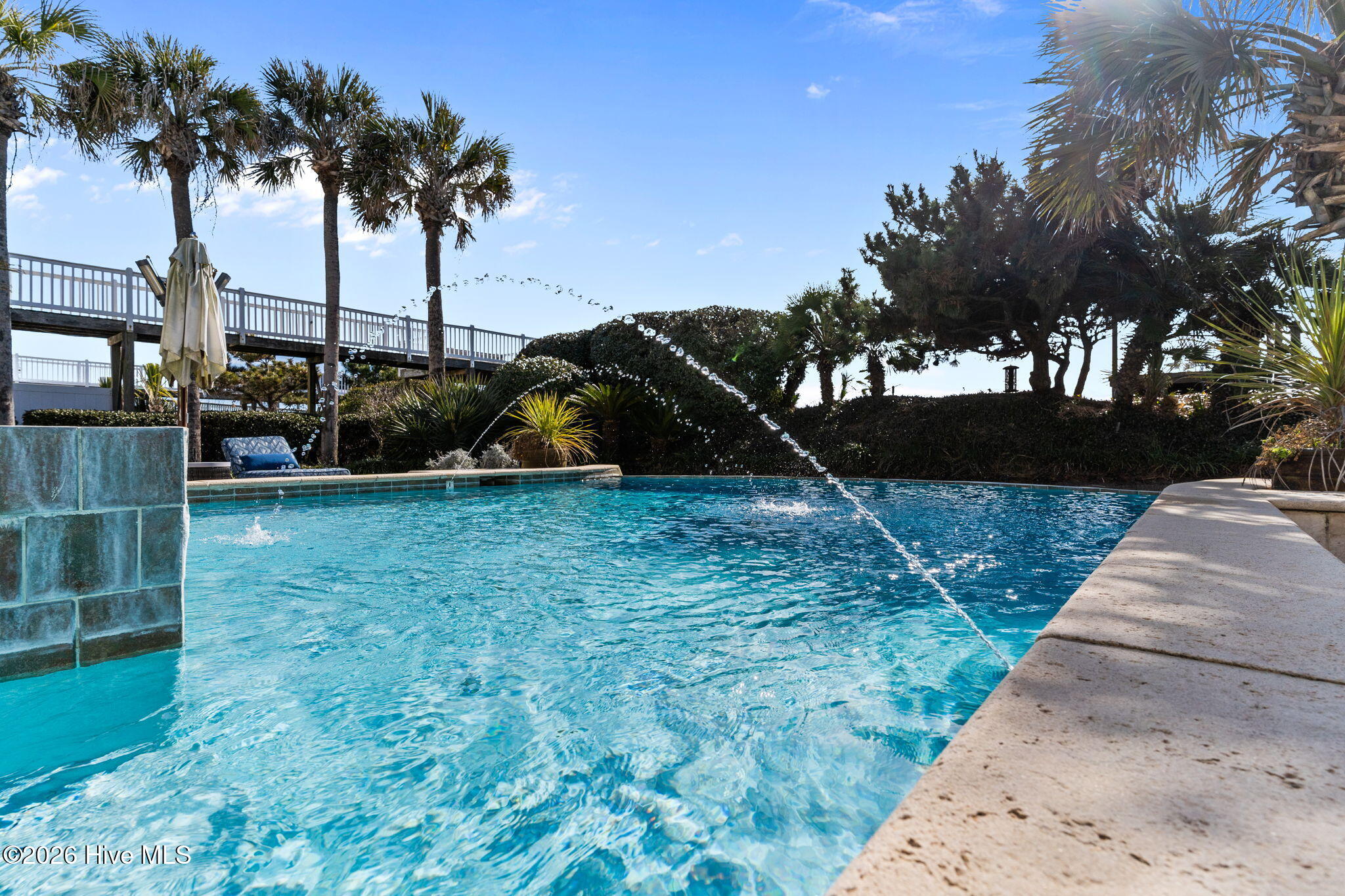 100552689 | Photo 100