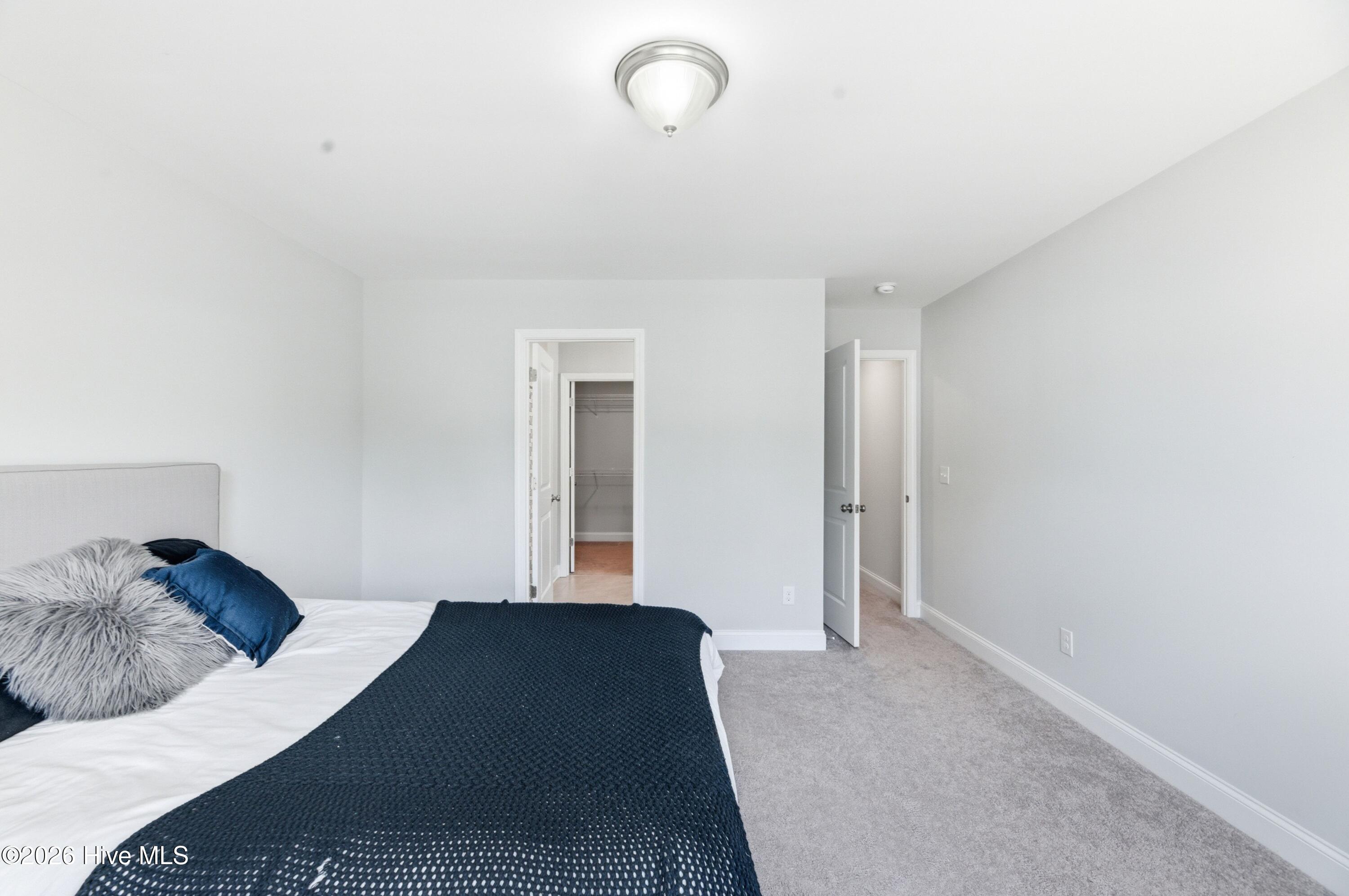 100564137 | Photo 26