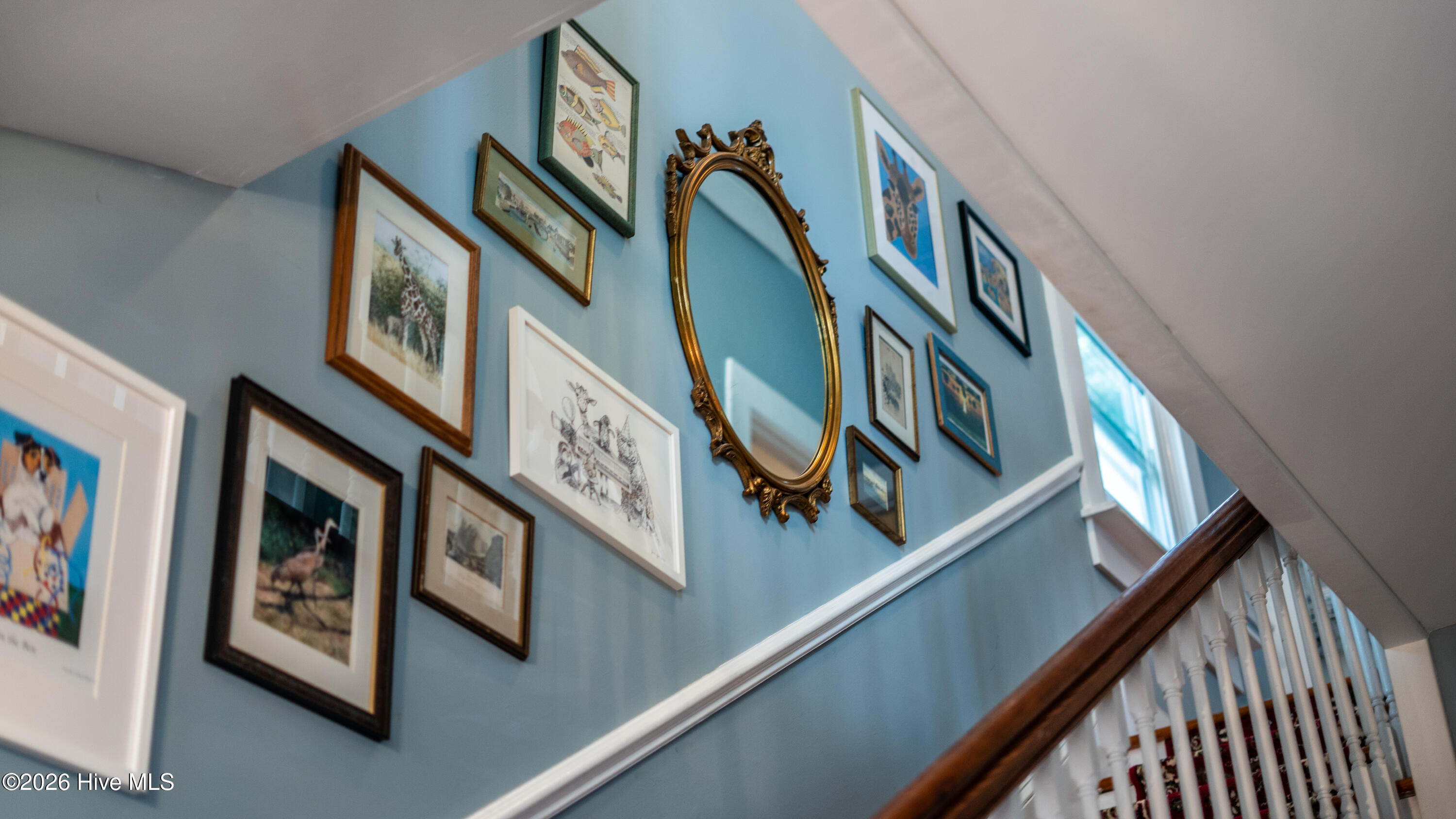 100559756 | Photo 14