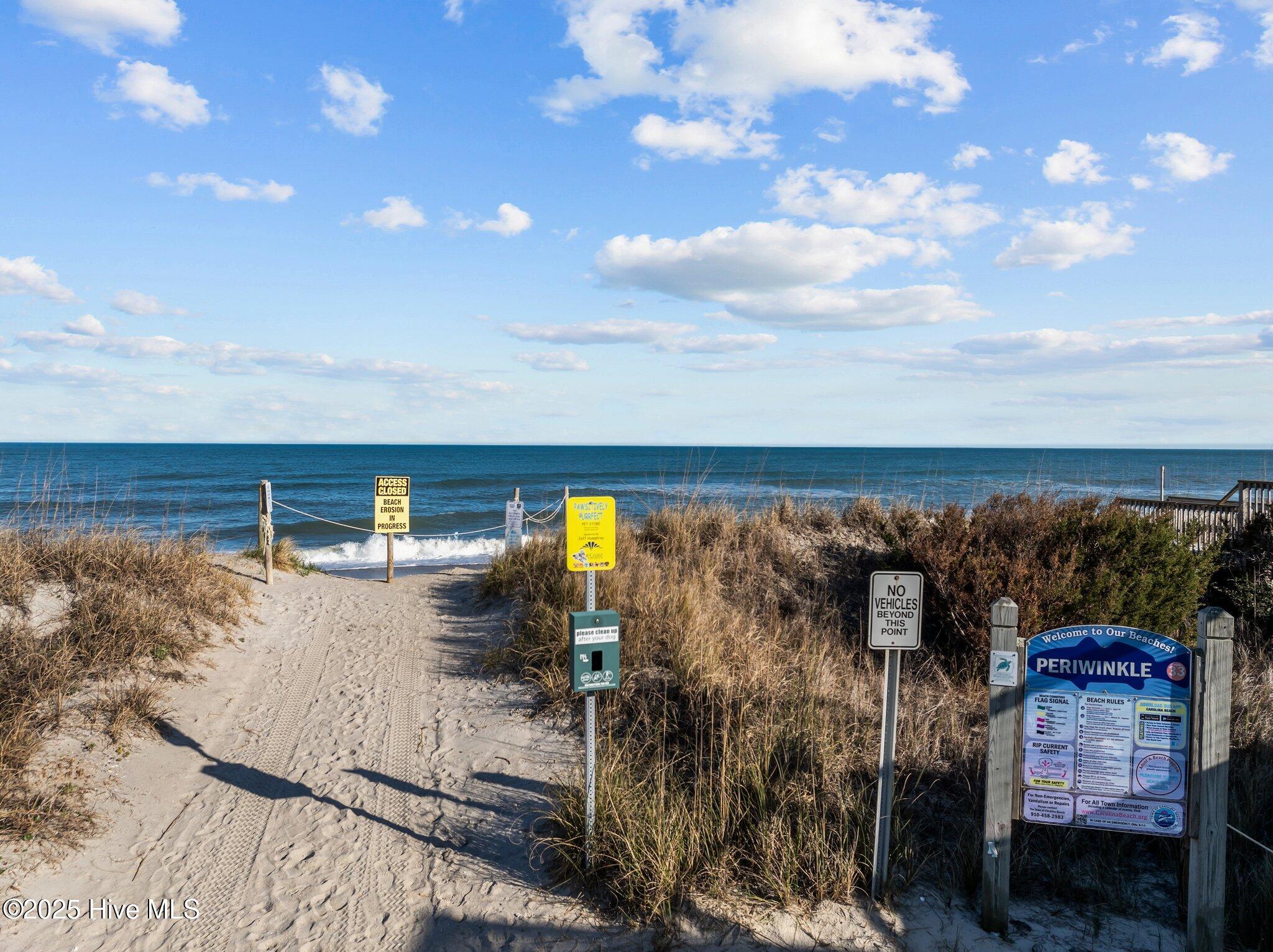 100566961 | Photo 40