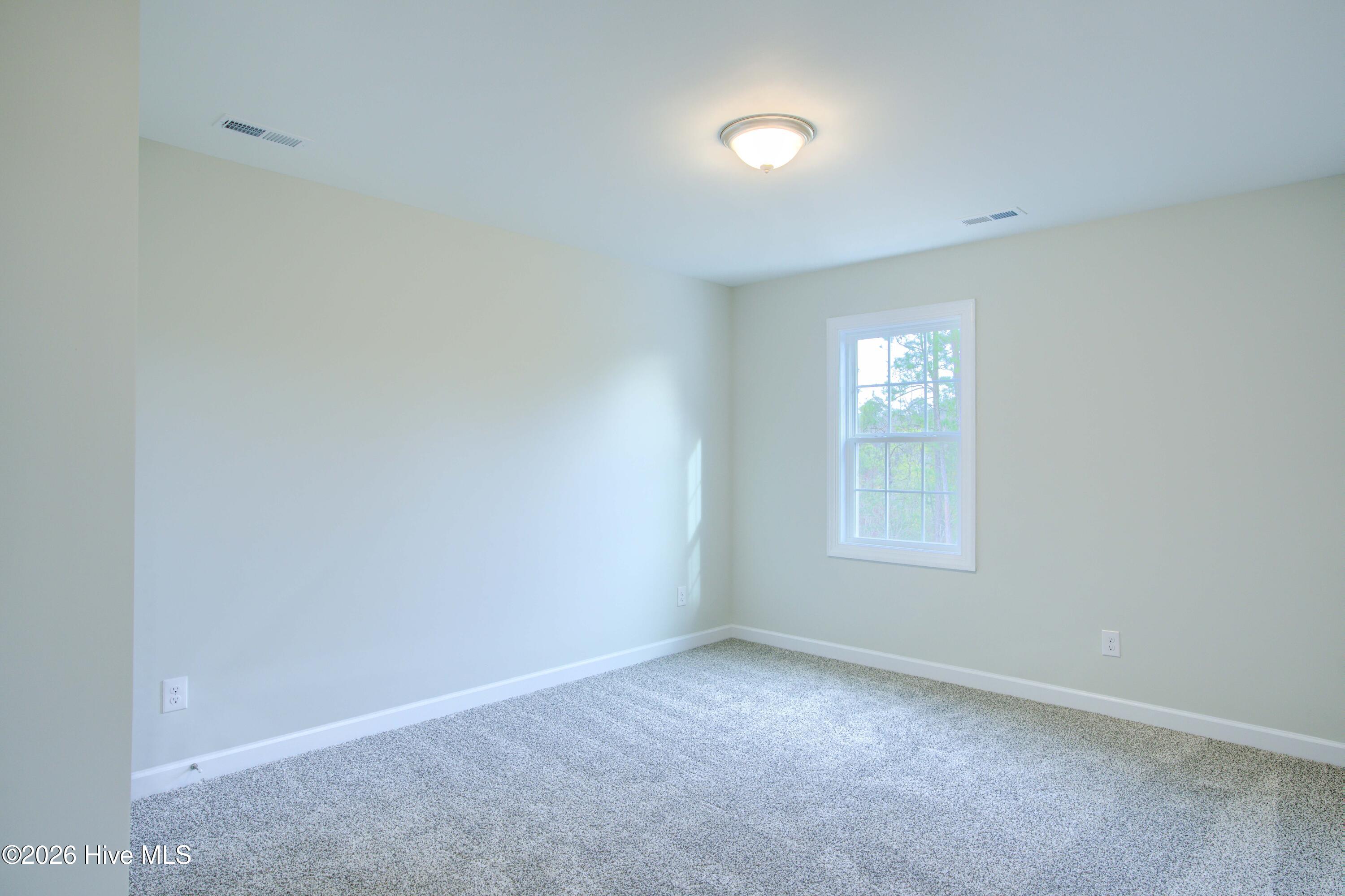 100527723 | Photo 24