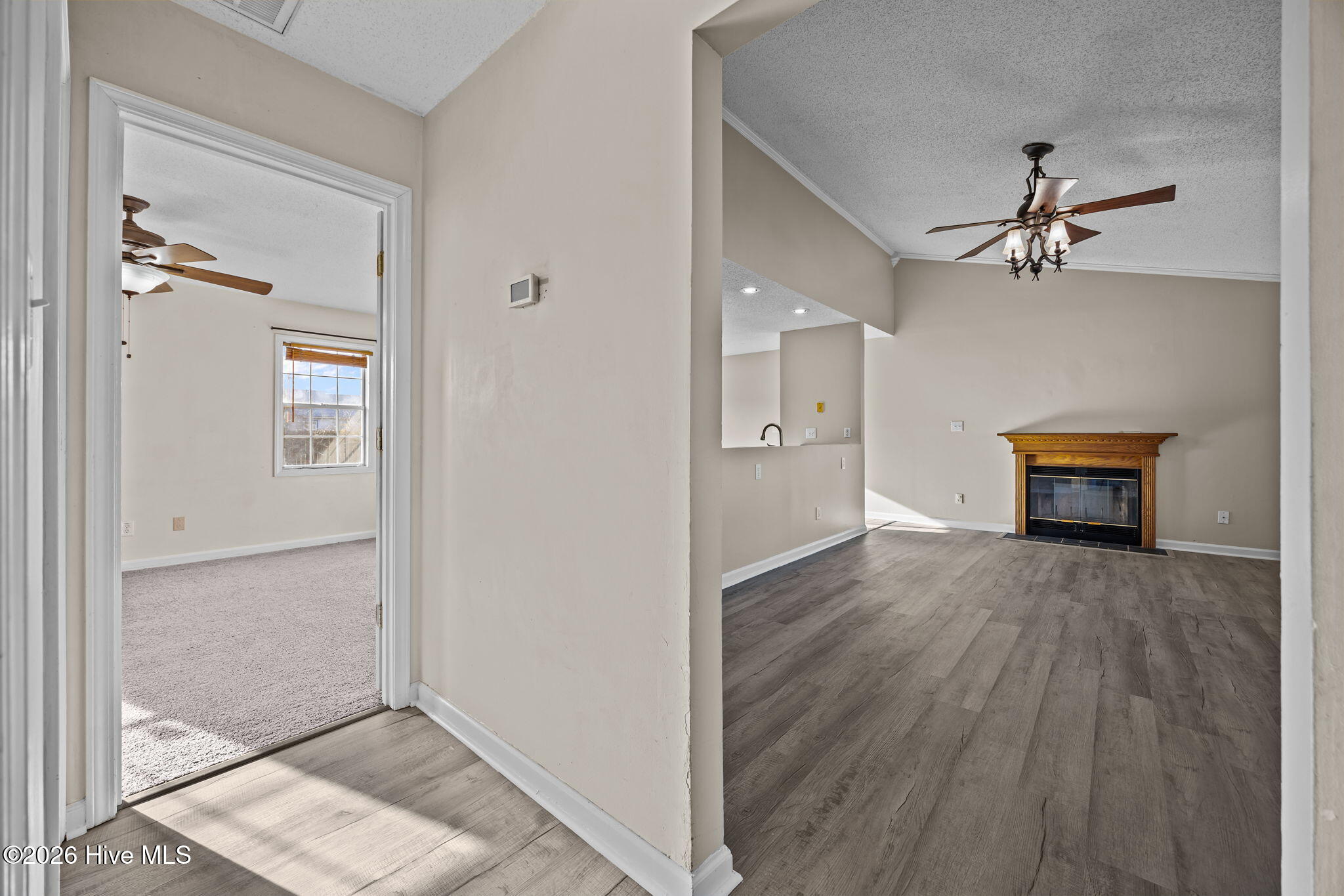 100551287 | Photo 19