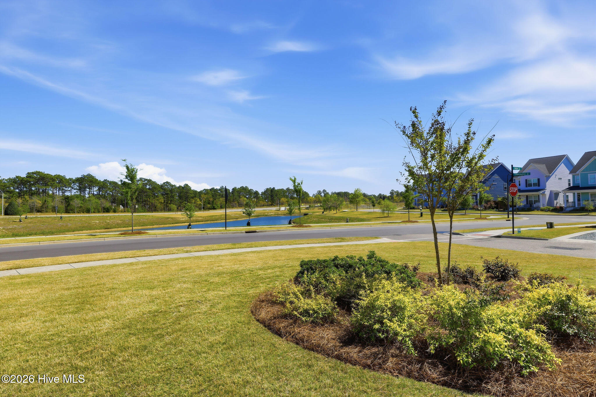 100567666 | Photo 36