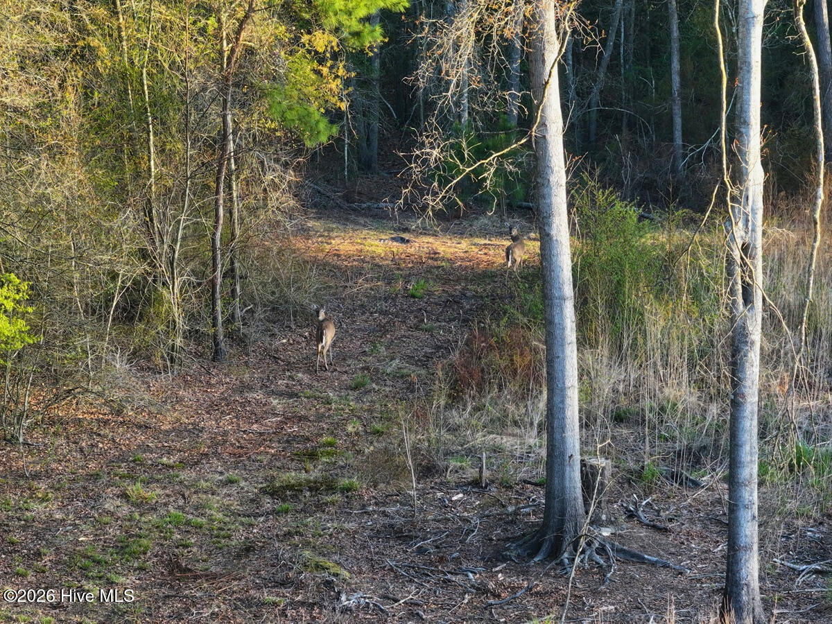 0 Durwood Evans Road, Beulaville, NC, 28518