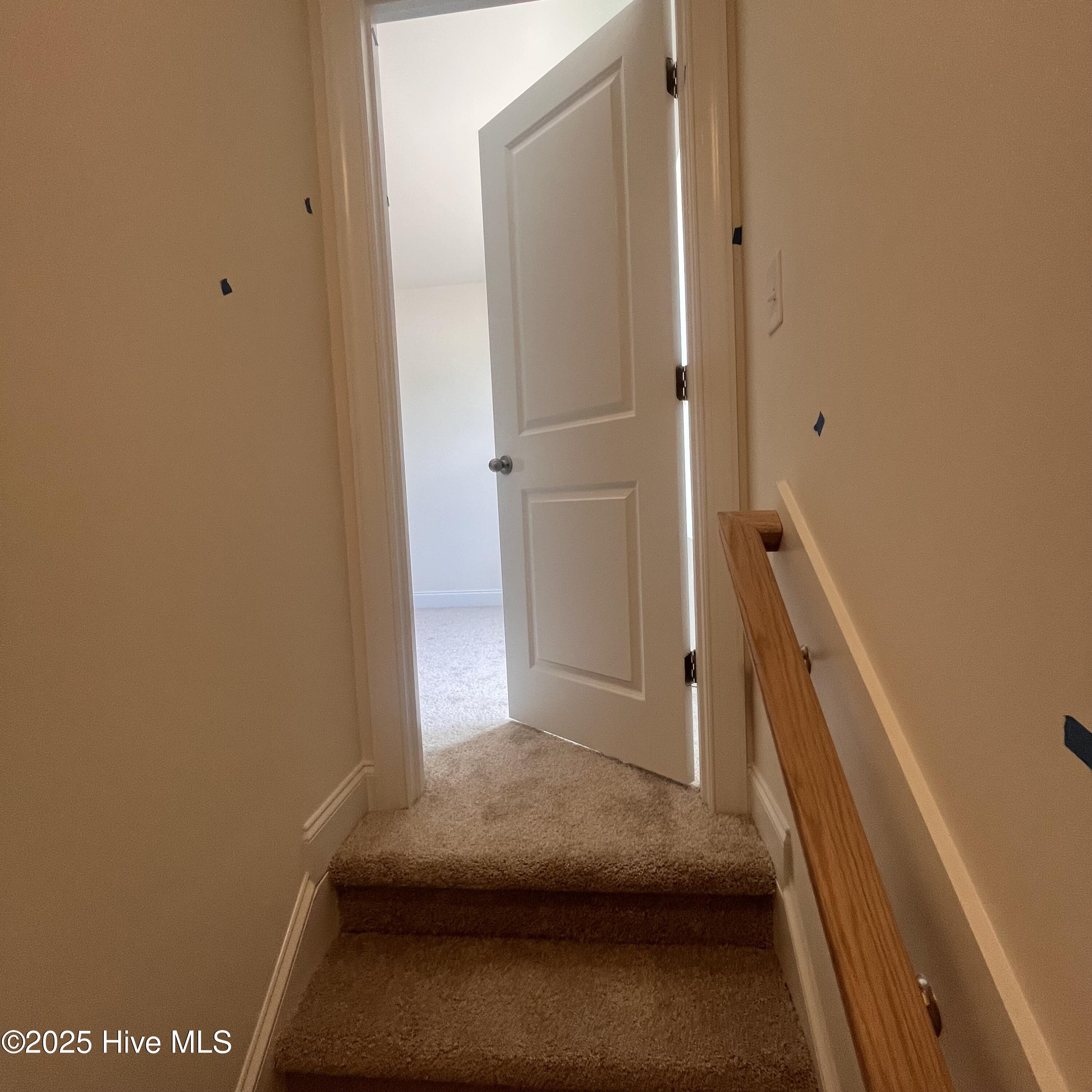 100517298 | Photo 26