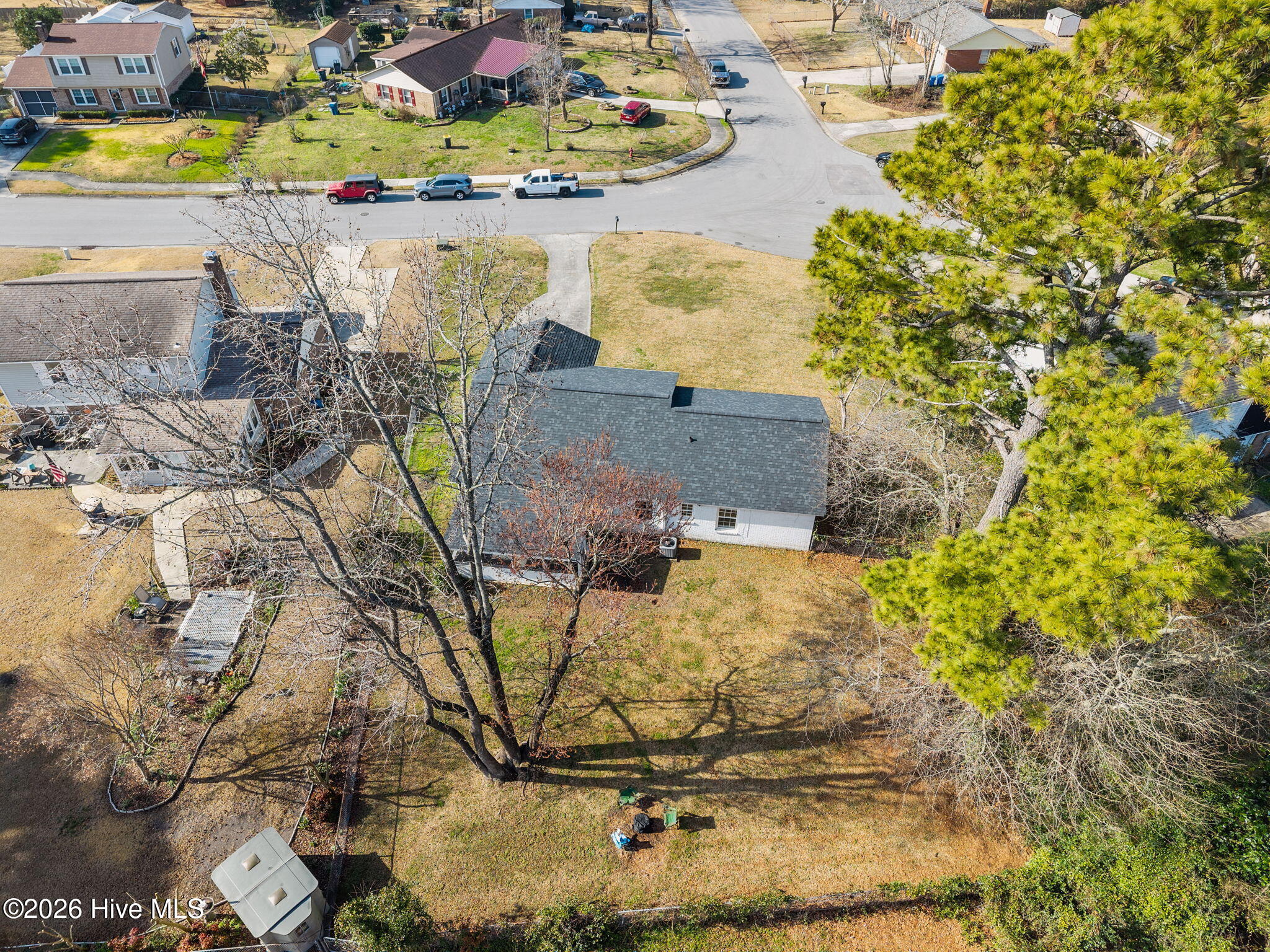 100558764 | Photo 38