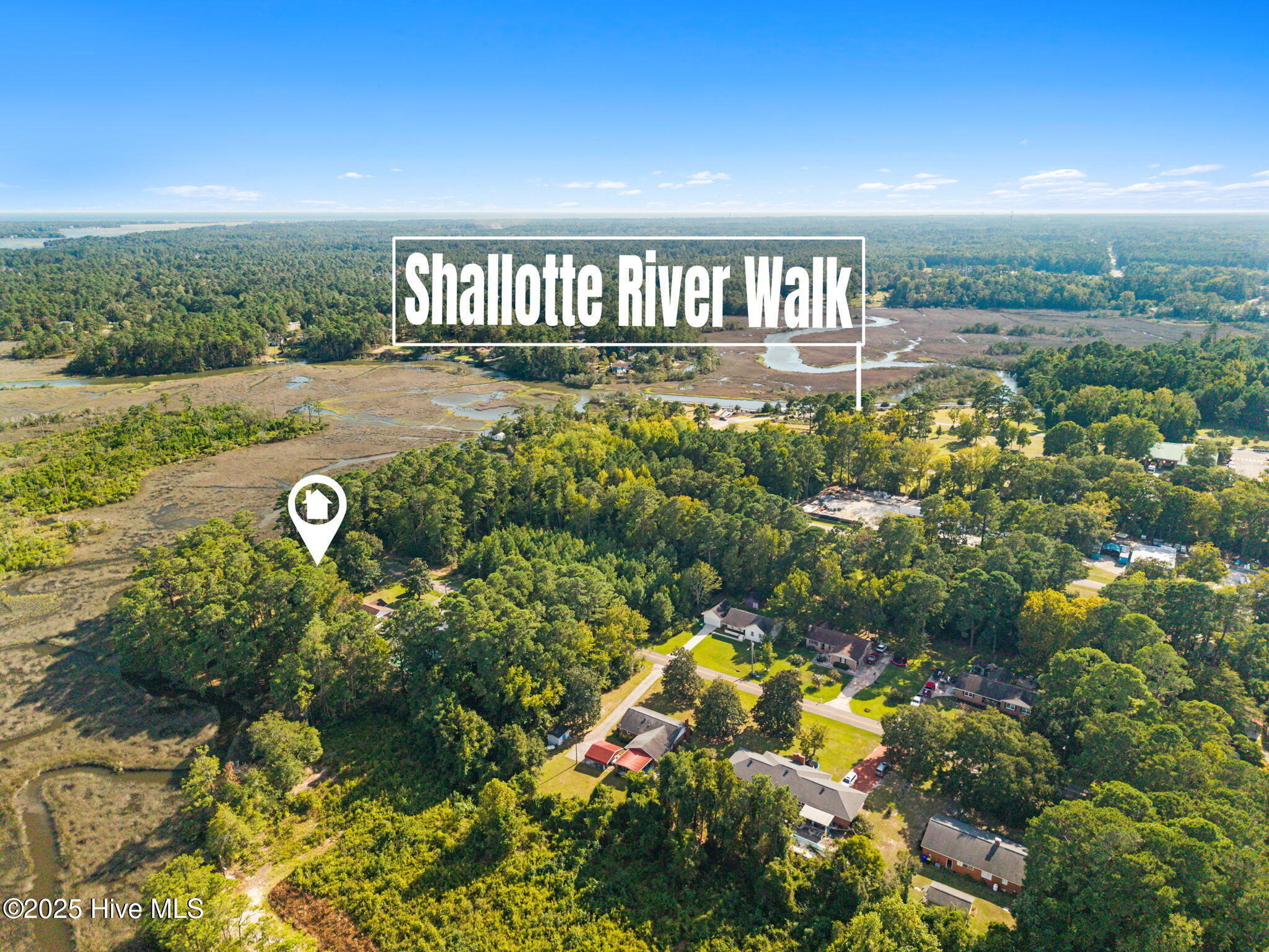 100534429 | Photo 20