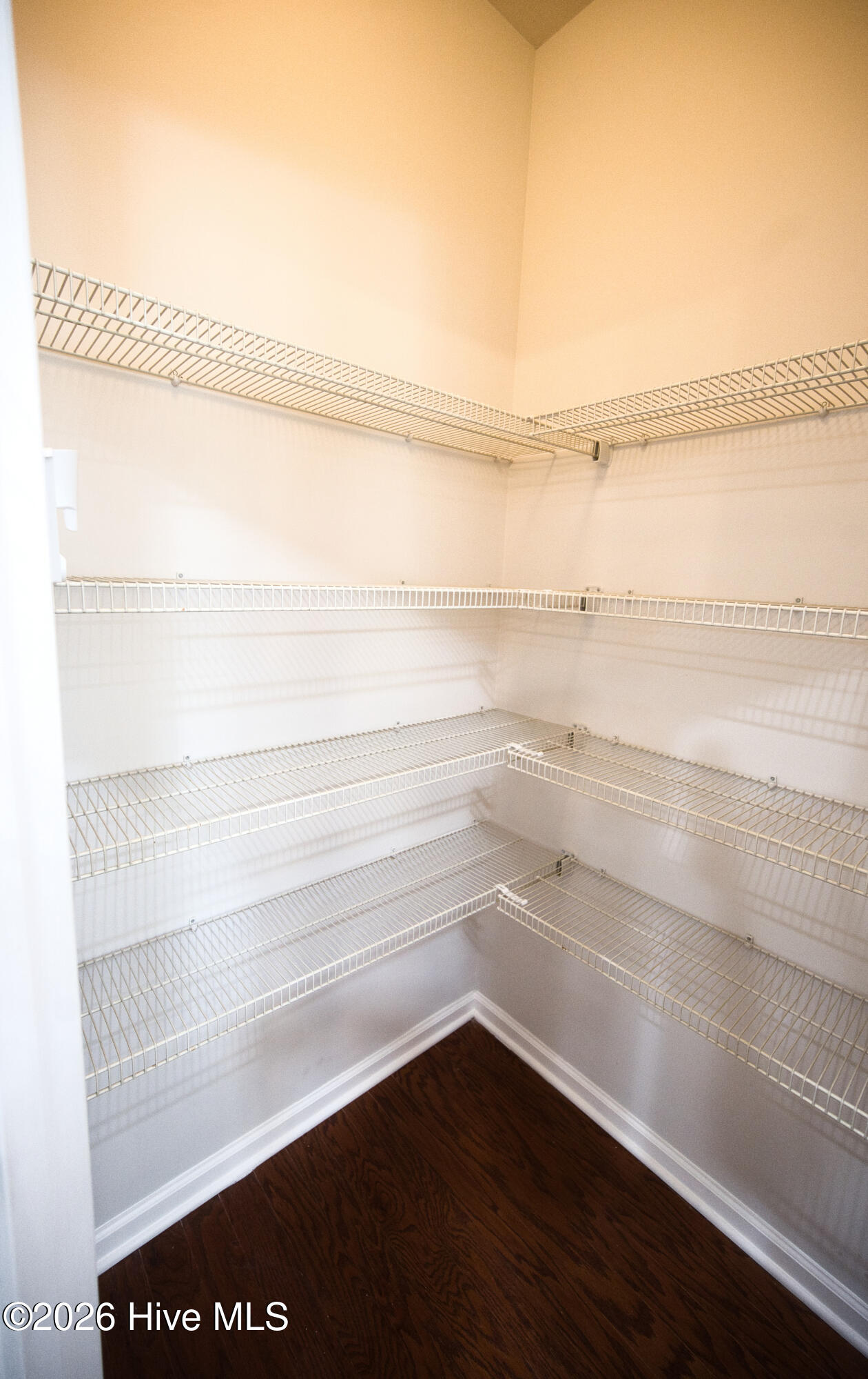 100569756 | Photo 49