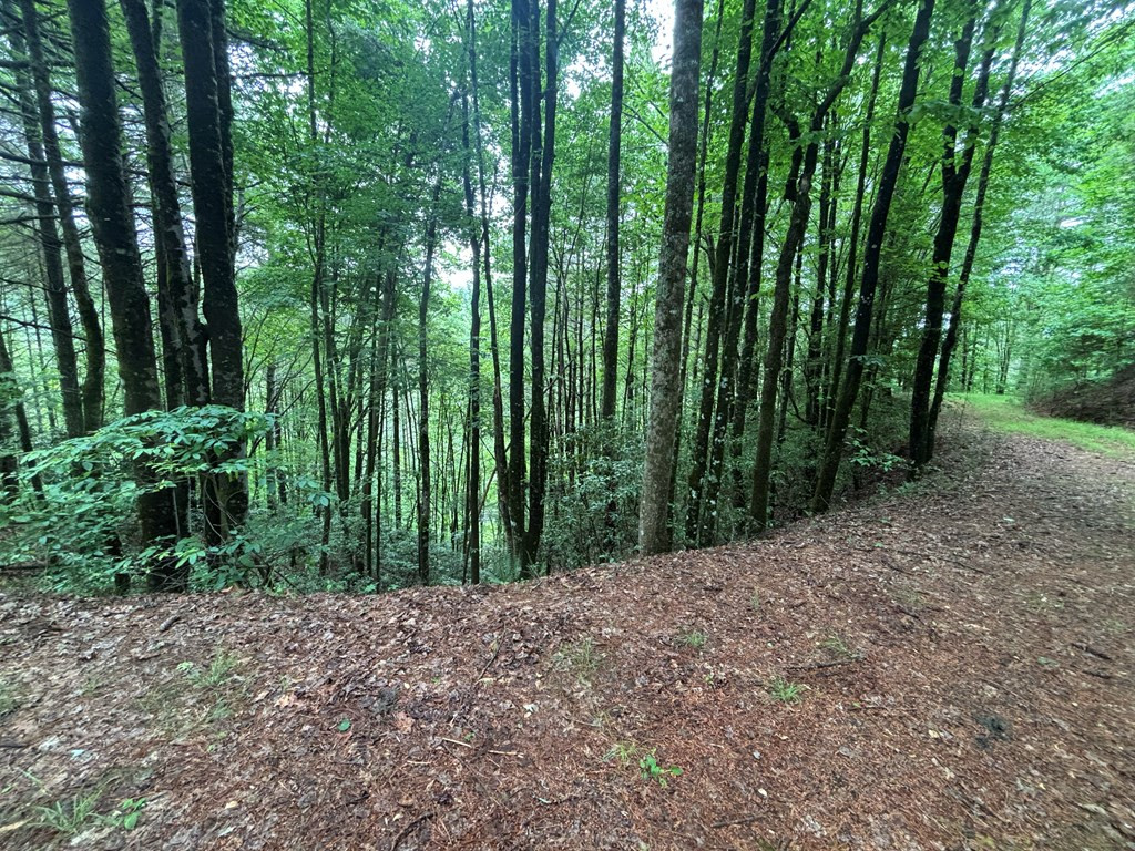 Exterior photo of Lot 11 Horse Camp Drive, Hayesville, NC 28904. MLS: 98544683