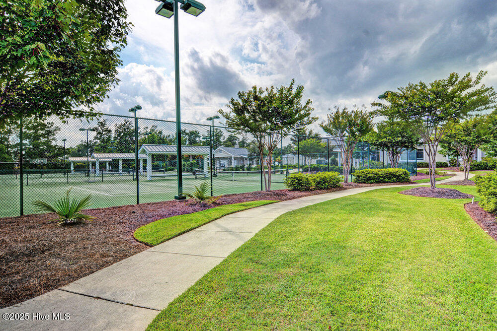 100535537 | Photo 42