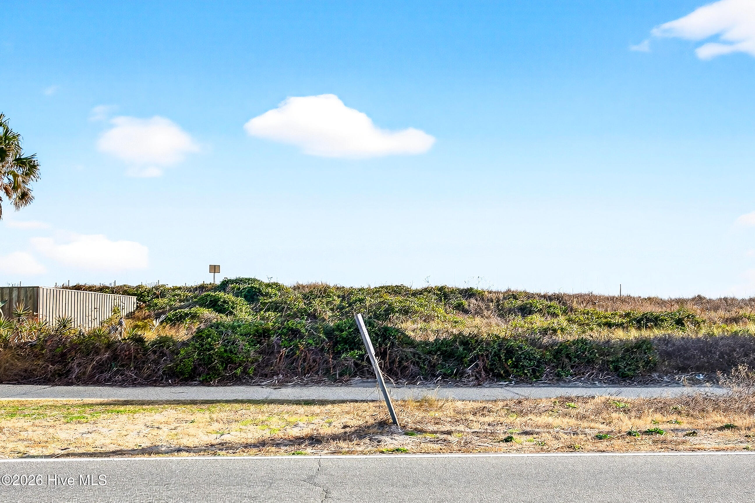 100547915 | Photo 10