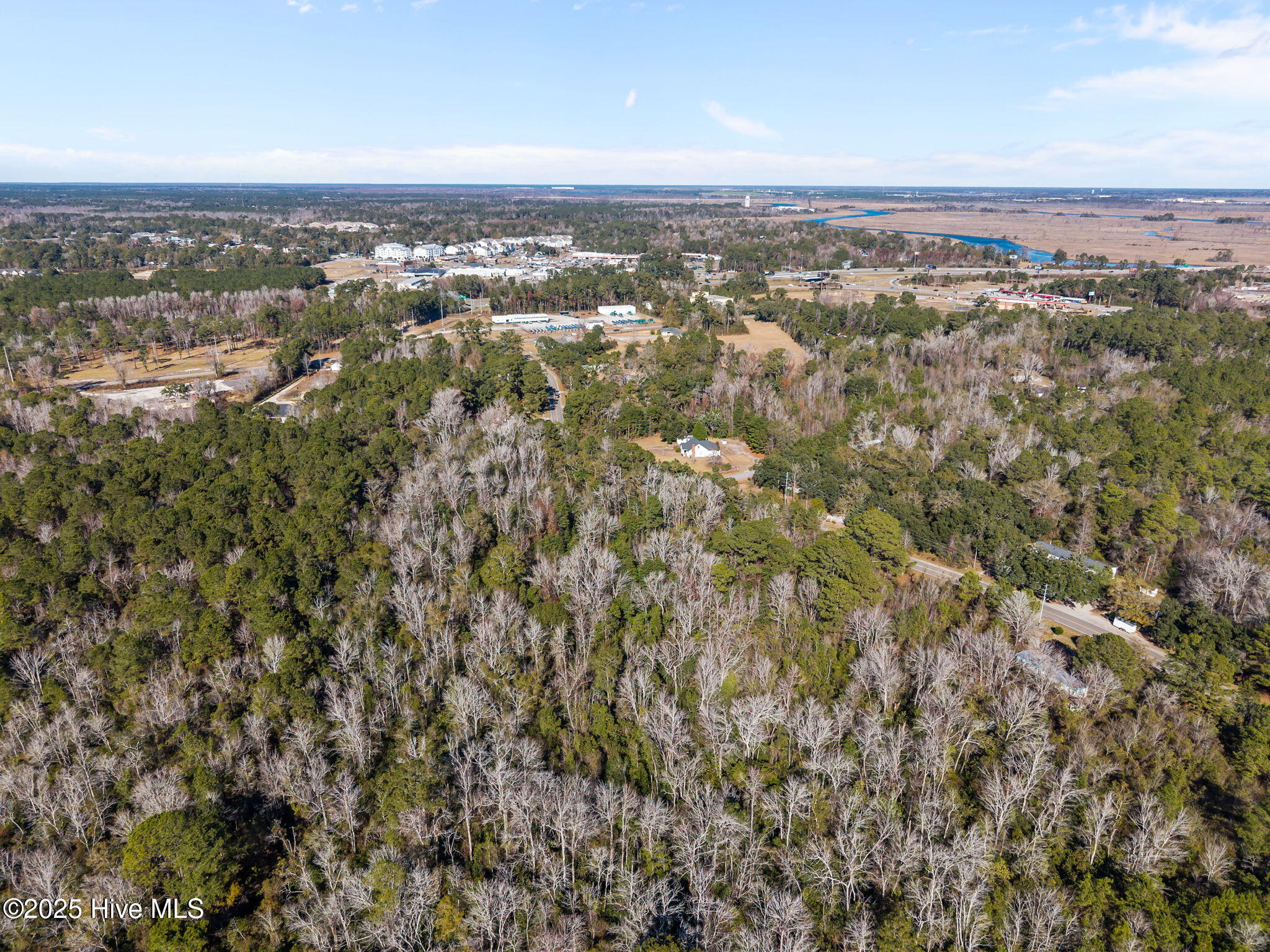 100545203 | Photo 12