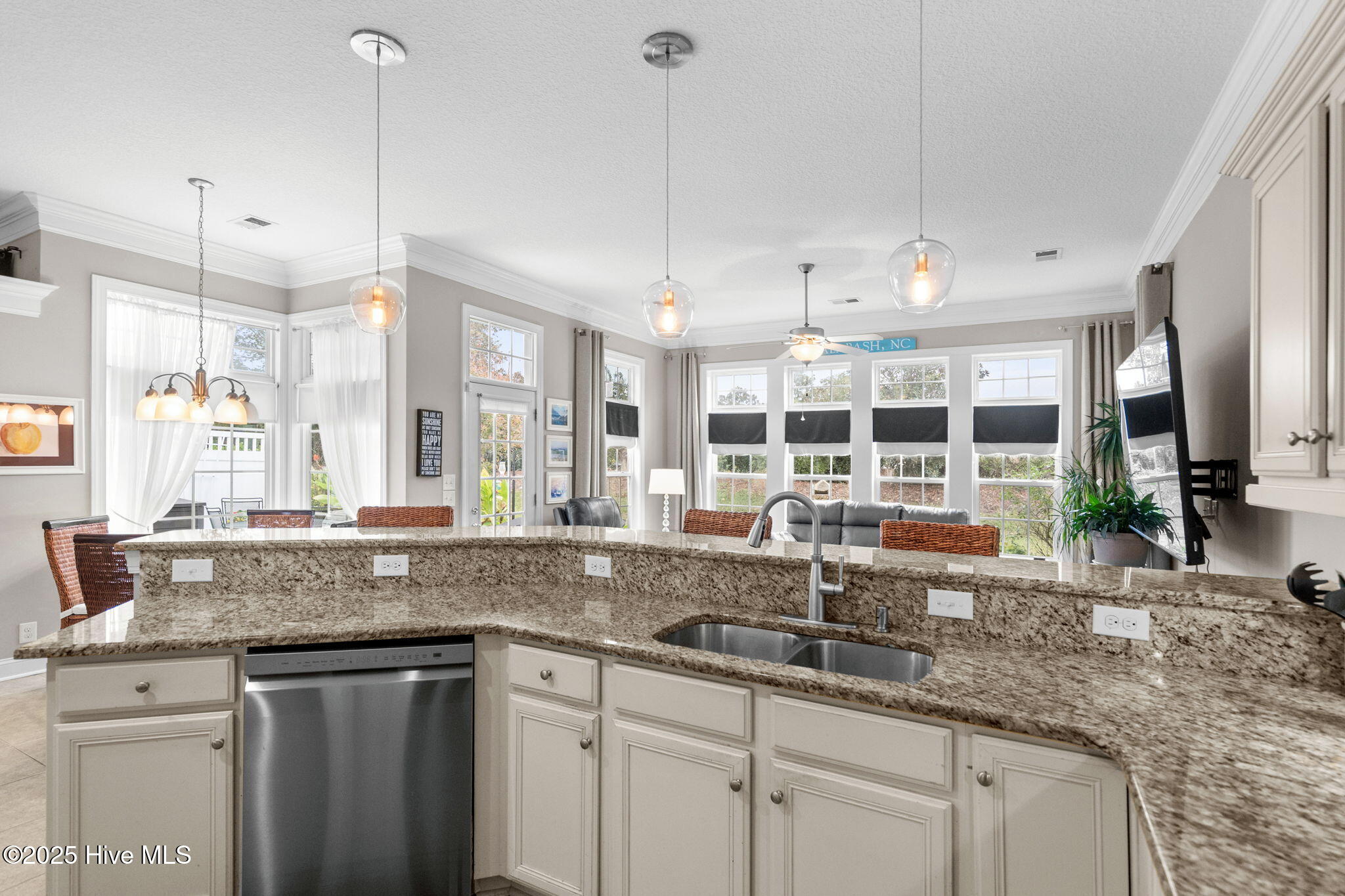 100538854 | Photo 26