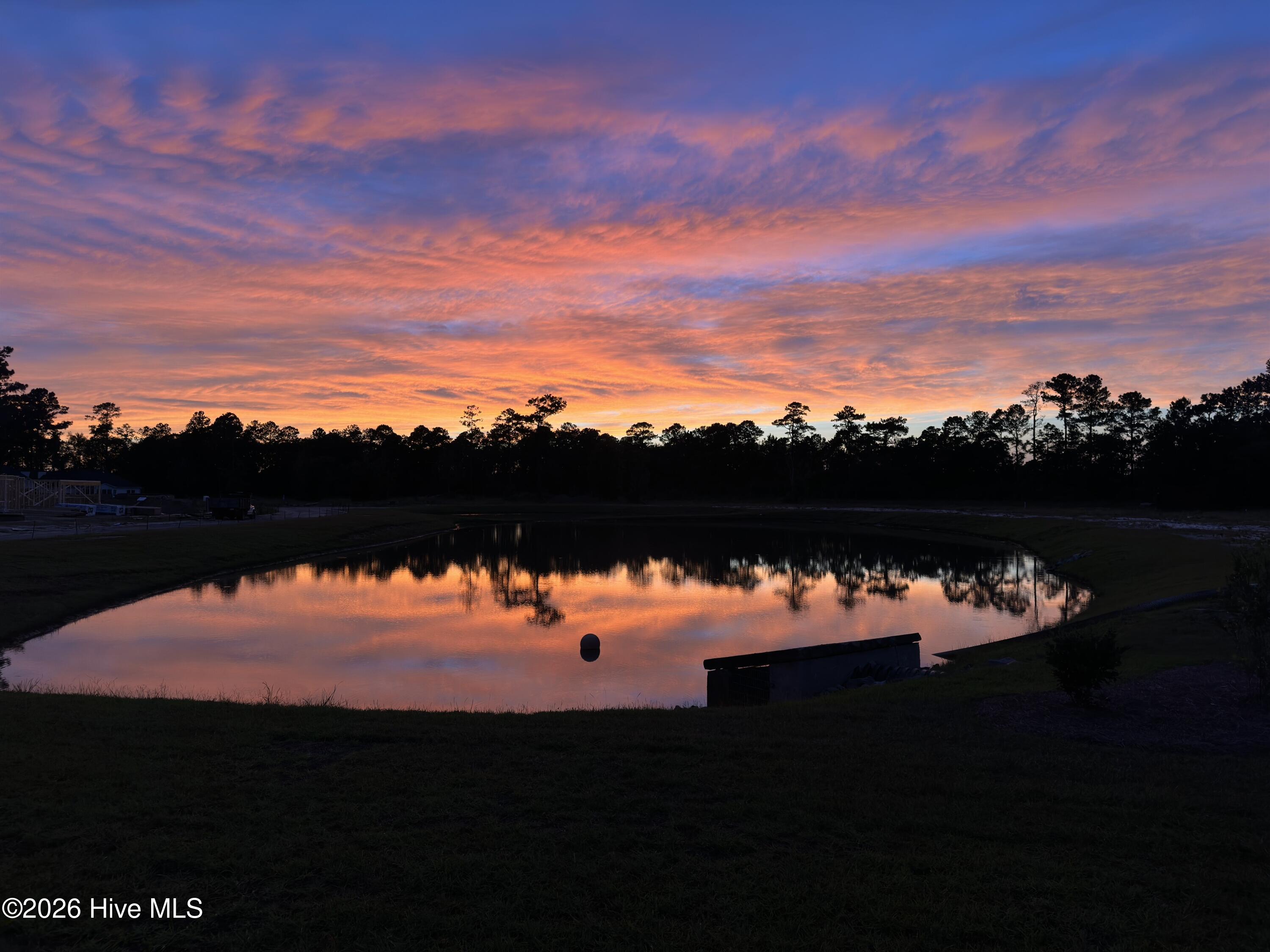 100548790 | Photo 30