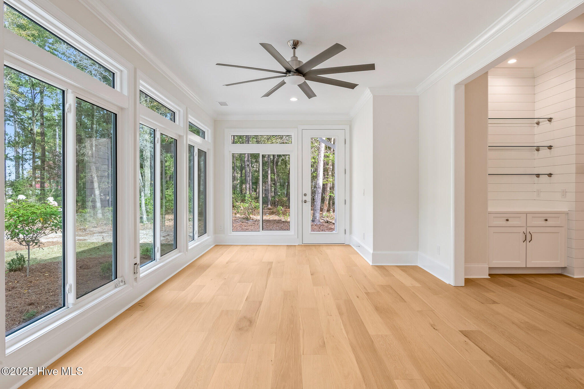 100535512 | Photo 18