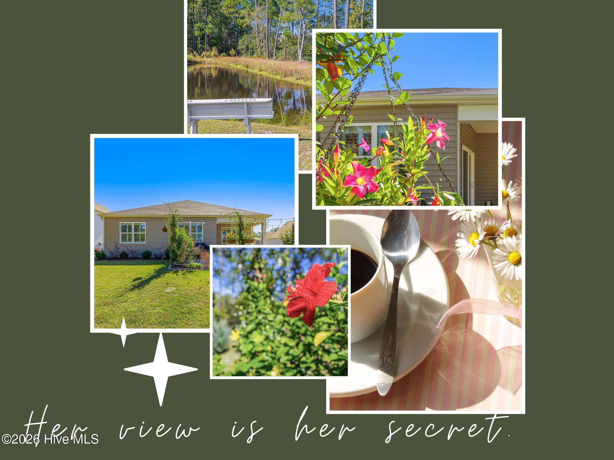 100537836 | Photo 38