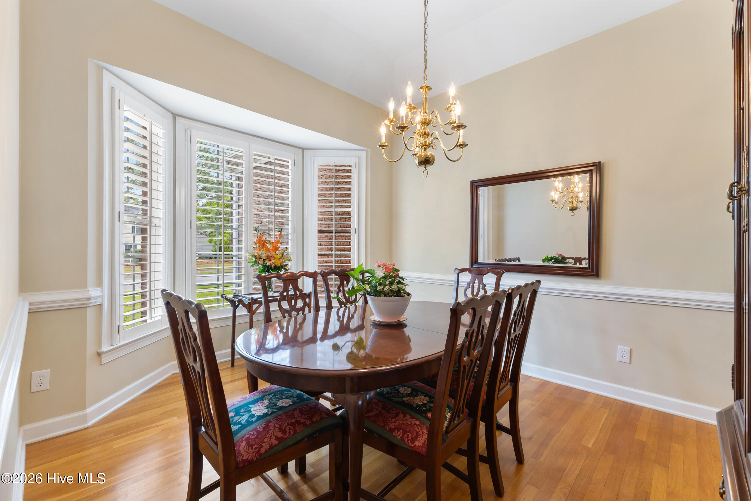 100566645 | Photo 16