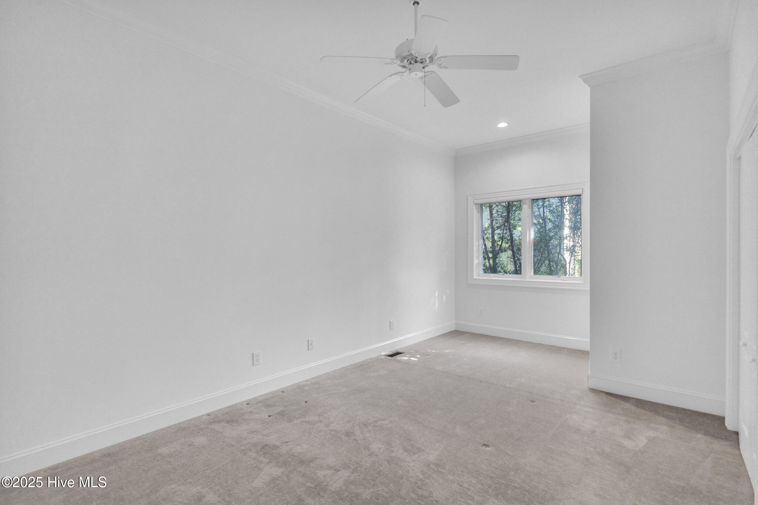 100505592 | Photo 41