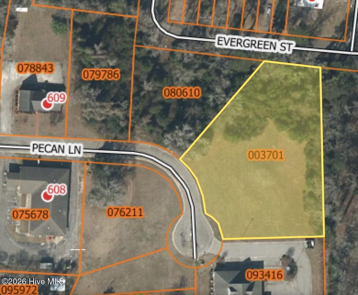 100563972 | Photo 11