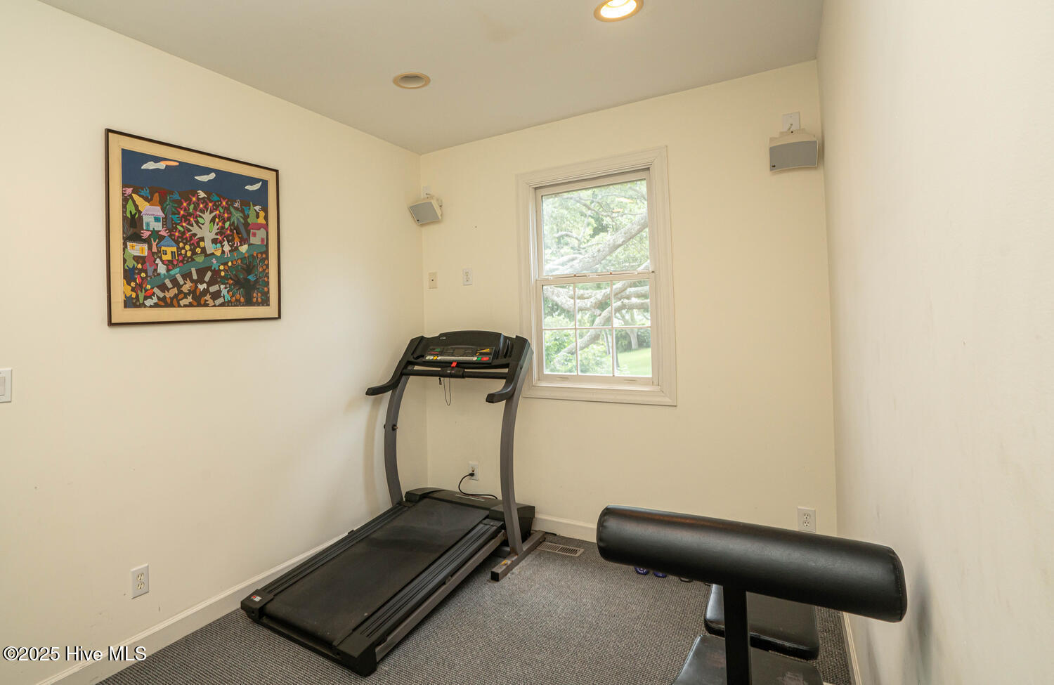 100510807 | Photo 26