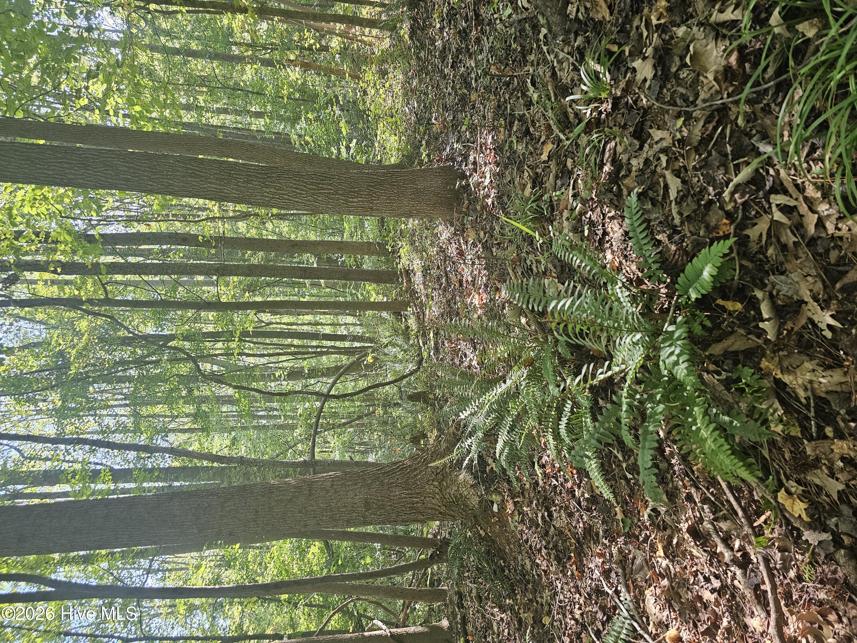 100610330