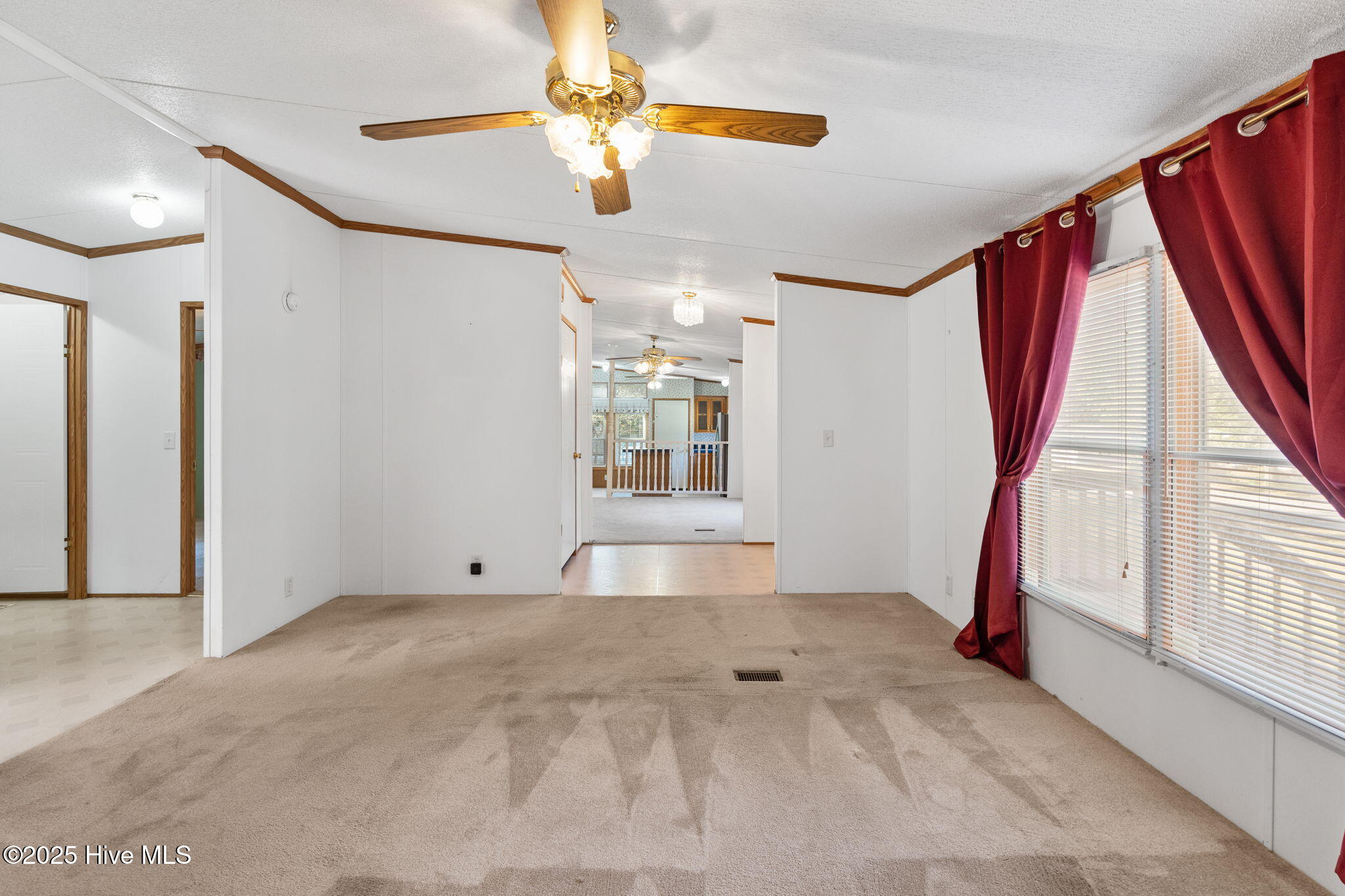 100541276 | Photo 21