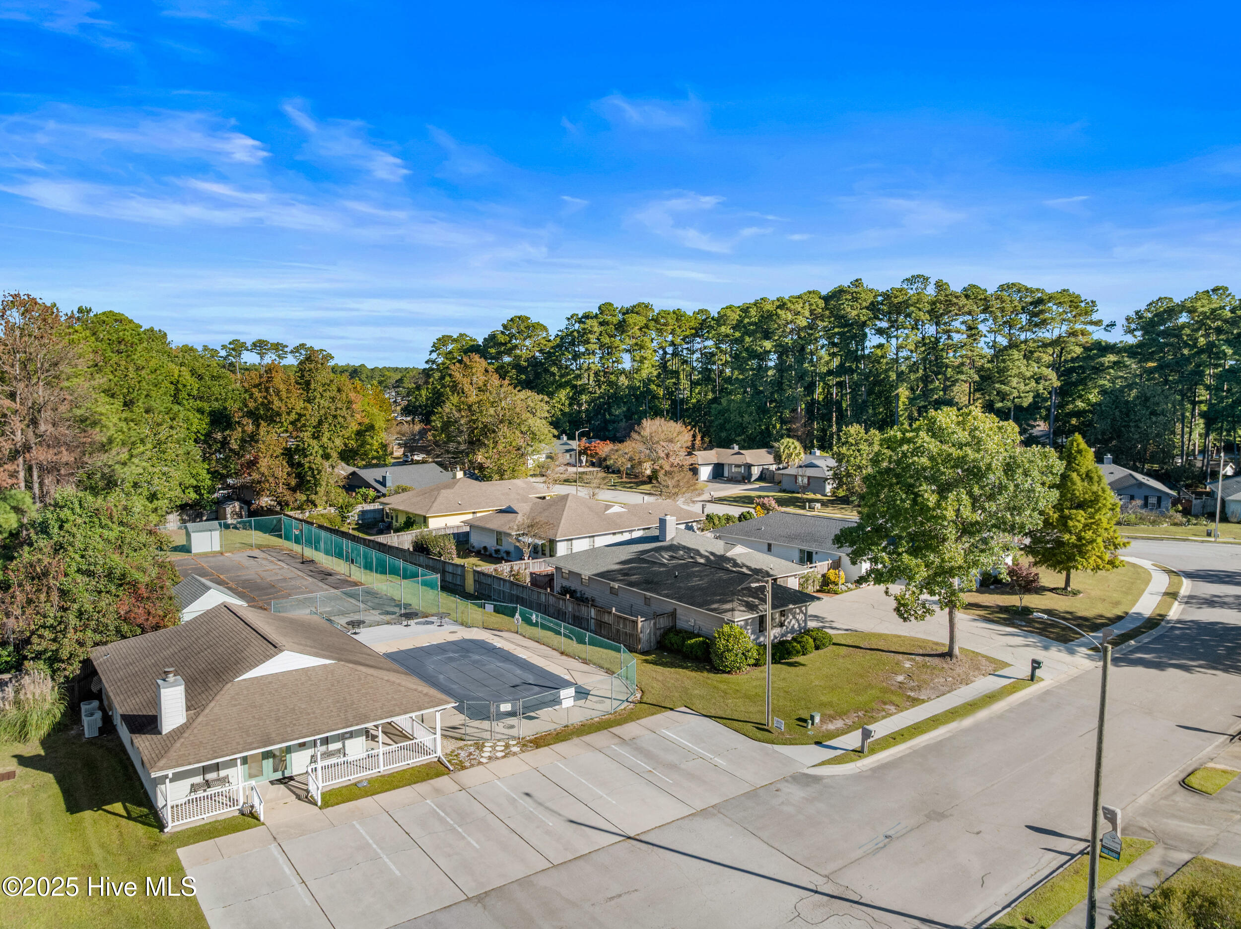 100538354 | Photo 56