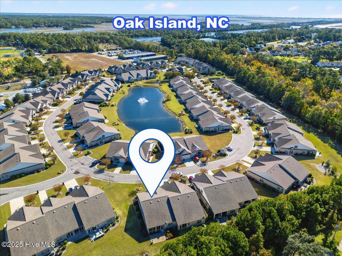 100541263 | Photo 59