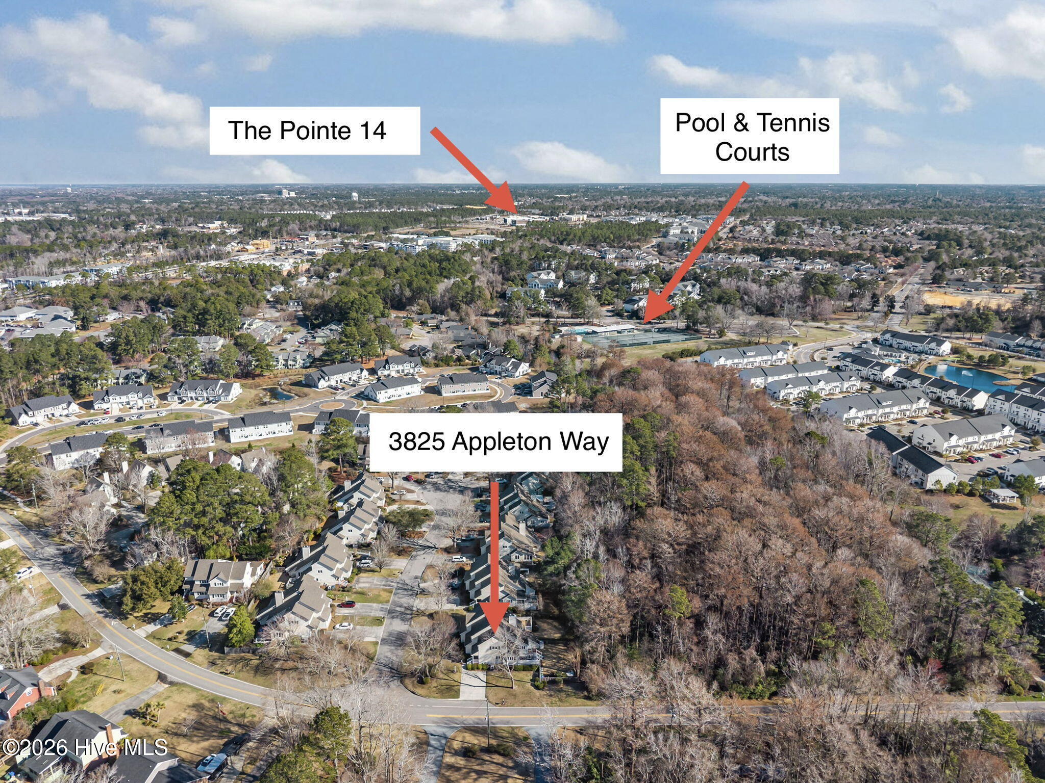 100557388 | Photo 55