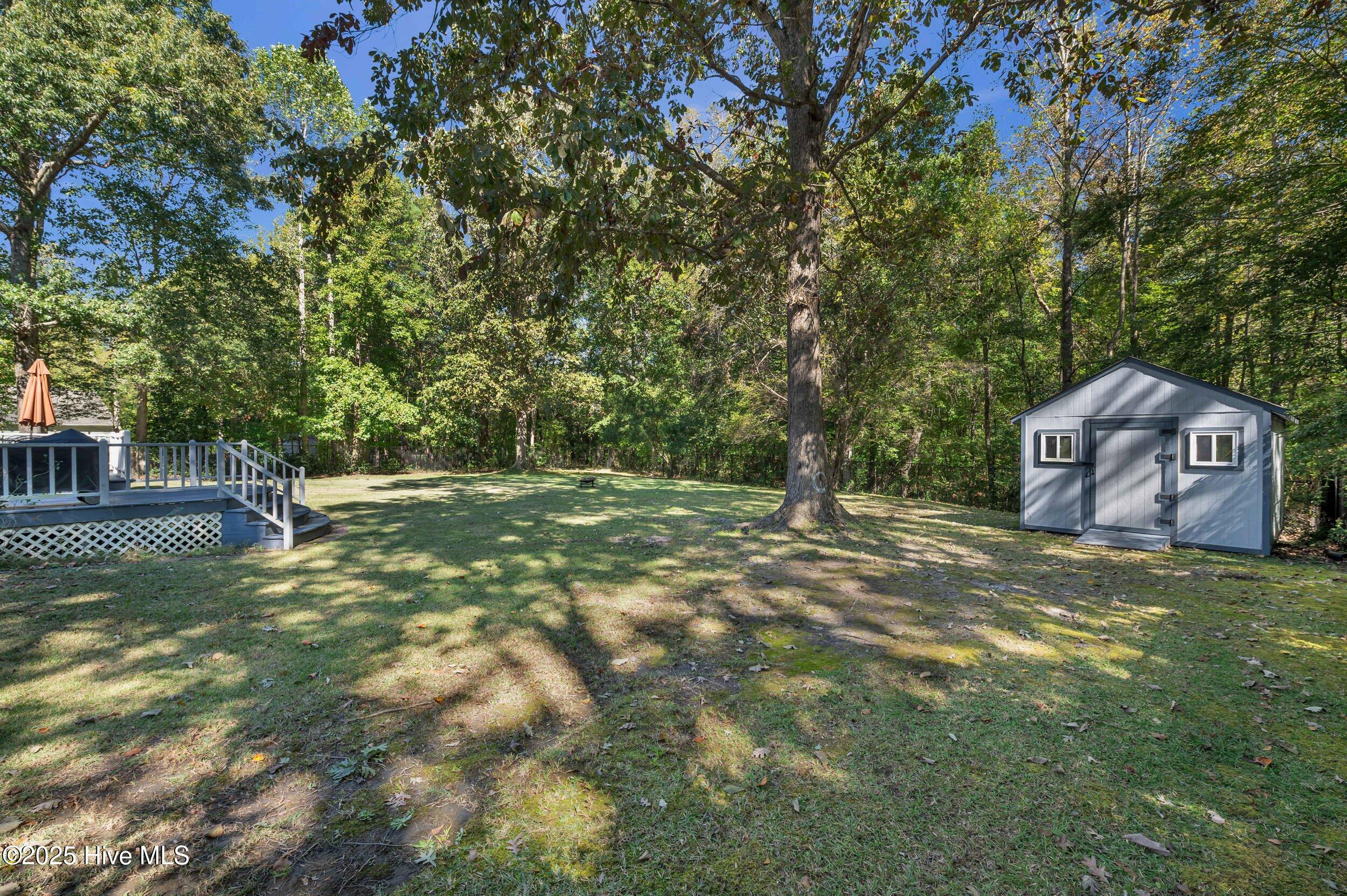 100537583 | Photo 43