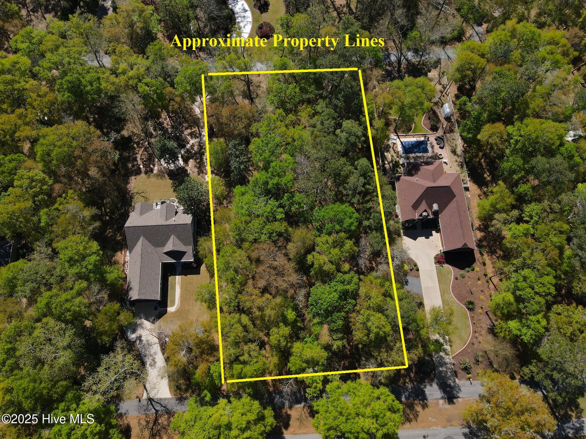 100511879 | Photo 13