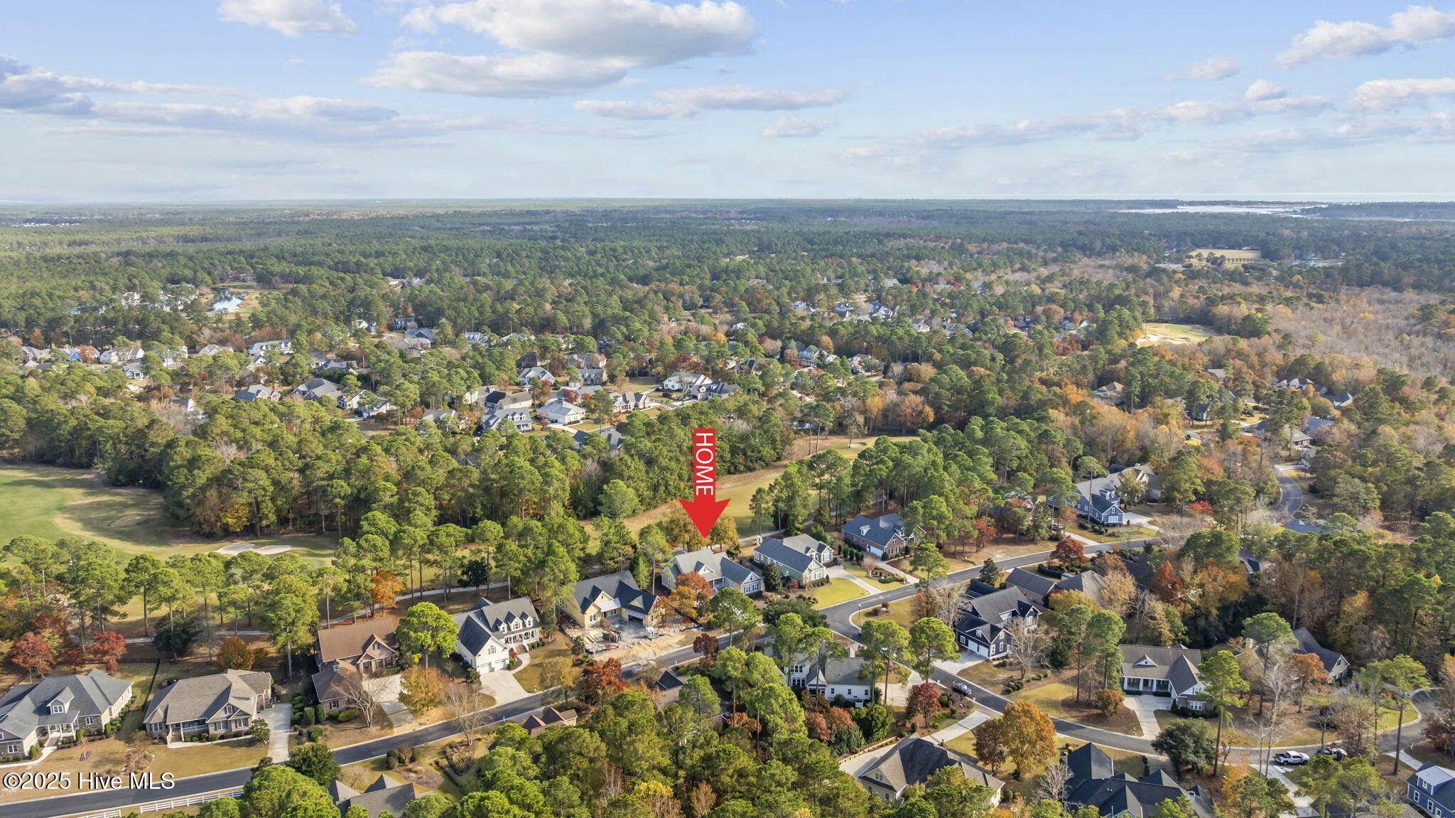 100542443 | Photo 48