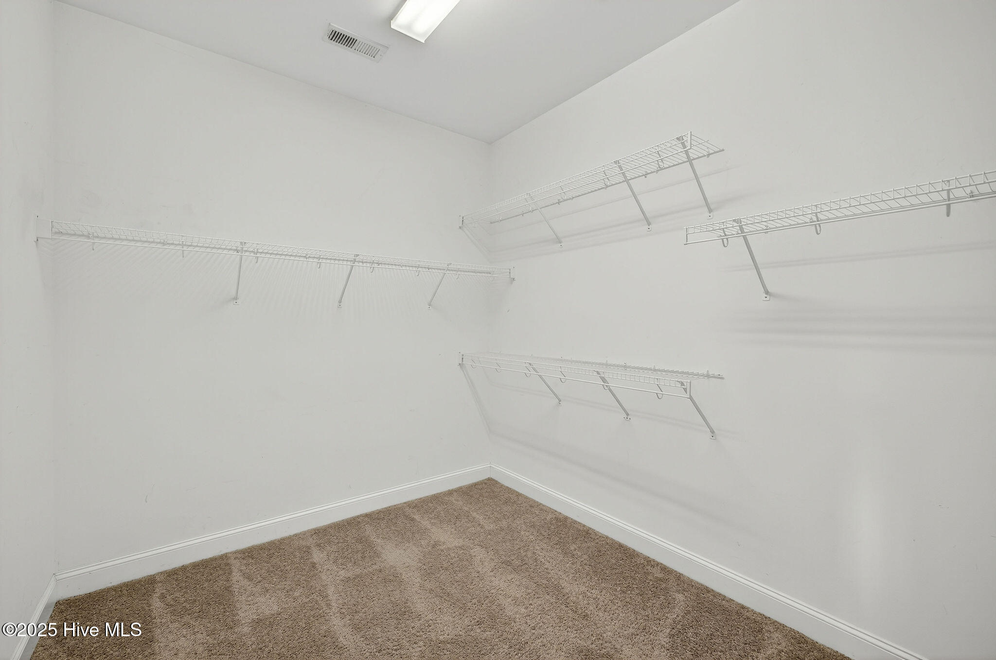 100535403 | Photo 37