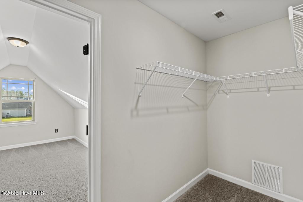 100566297 | Photo 24