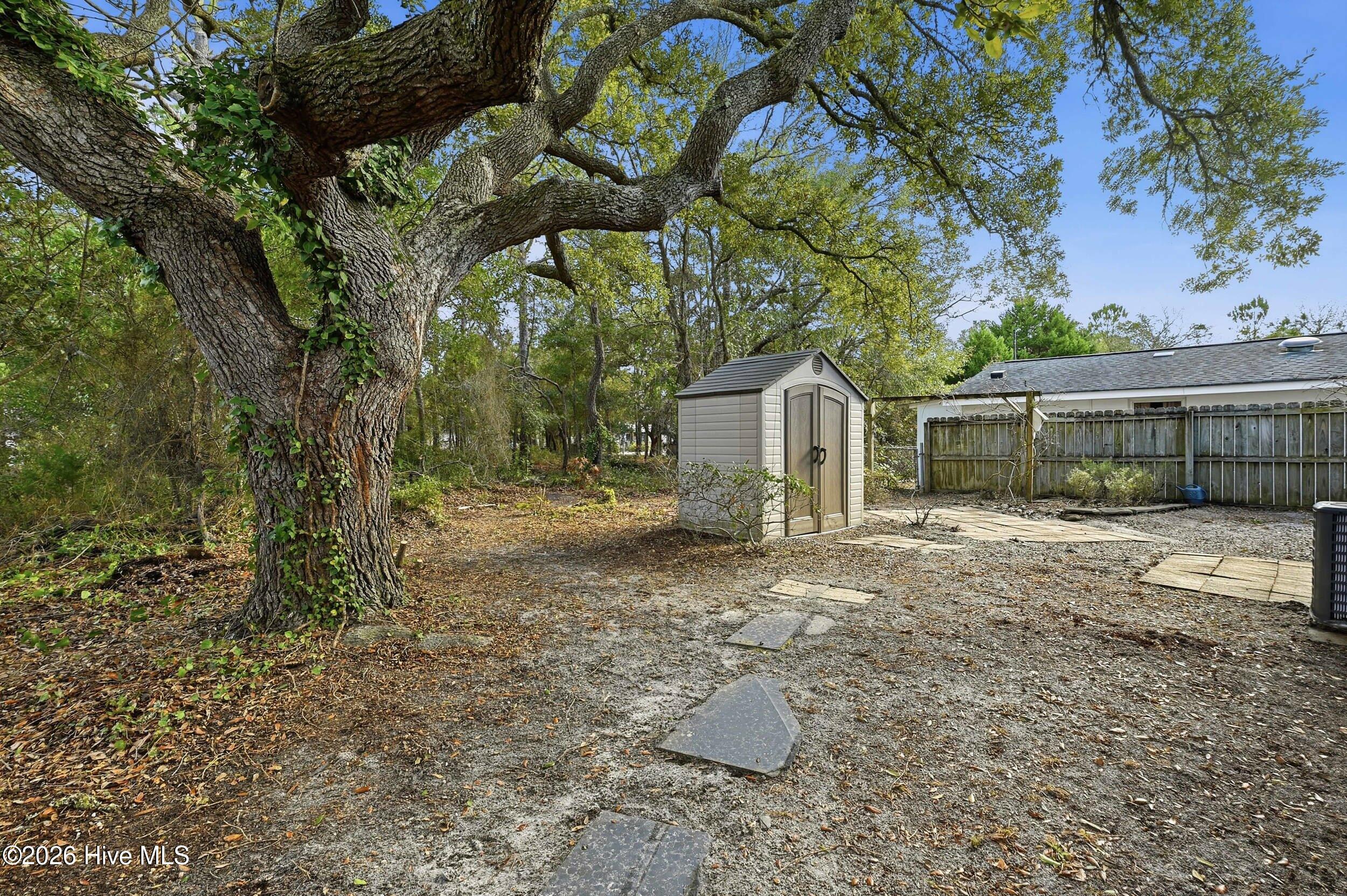 100552518 | Photo 37