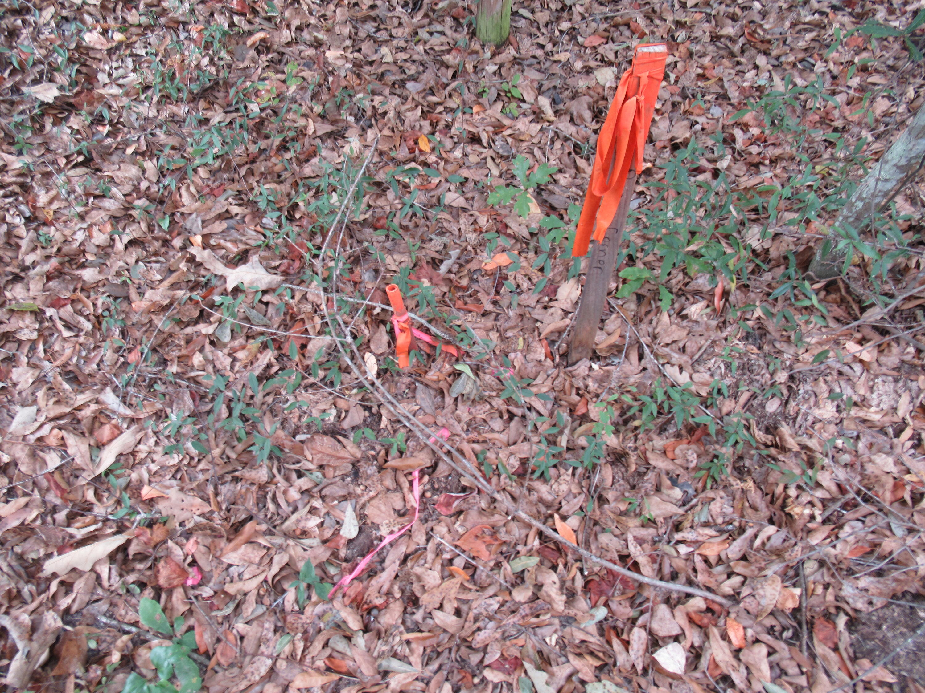 0 TWIN PINES RD., Keysville, GA, 30816