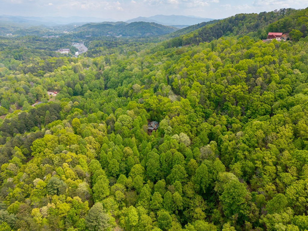 176 New Castle Road, Murphy, NC 28906 Listing Photo  41