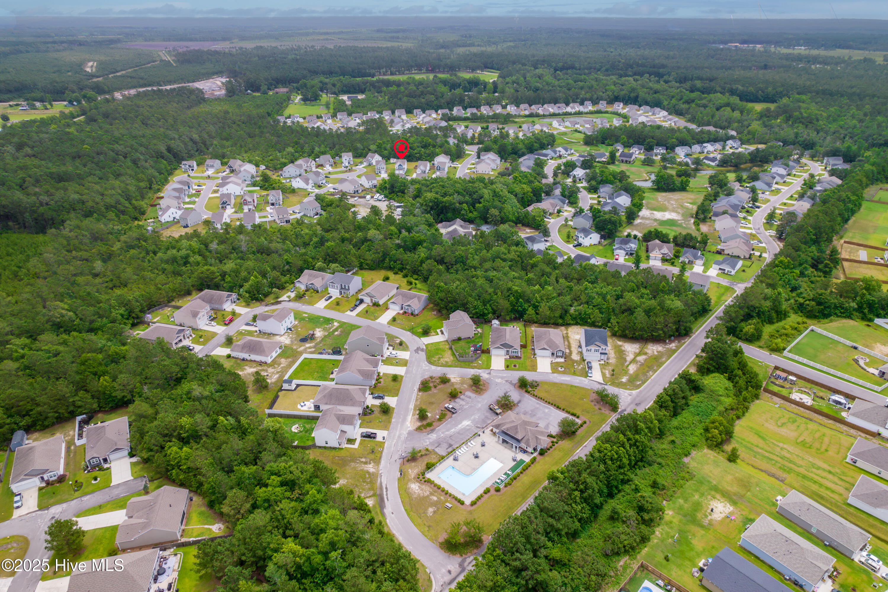 100513035 | Photo 31