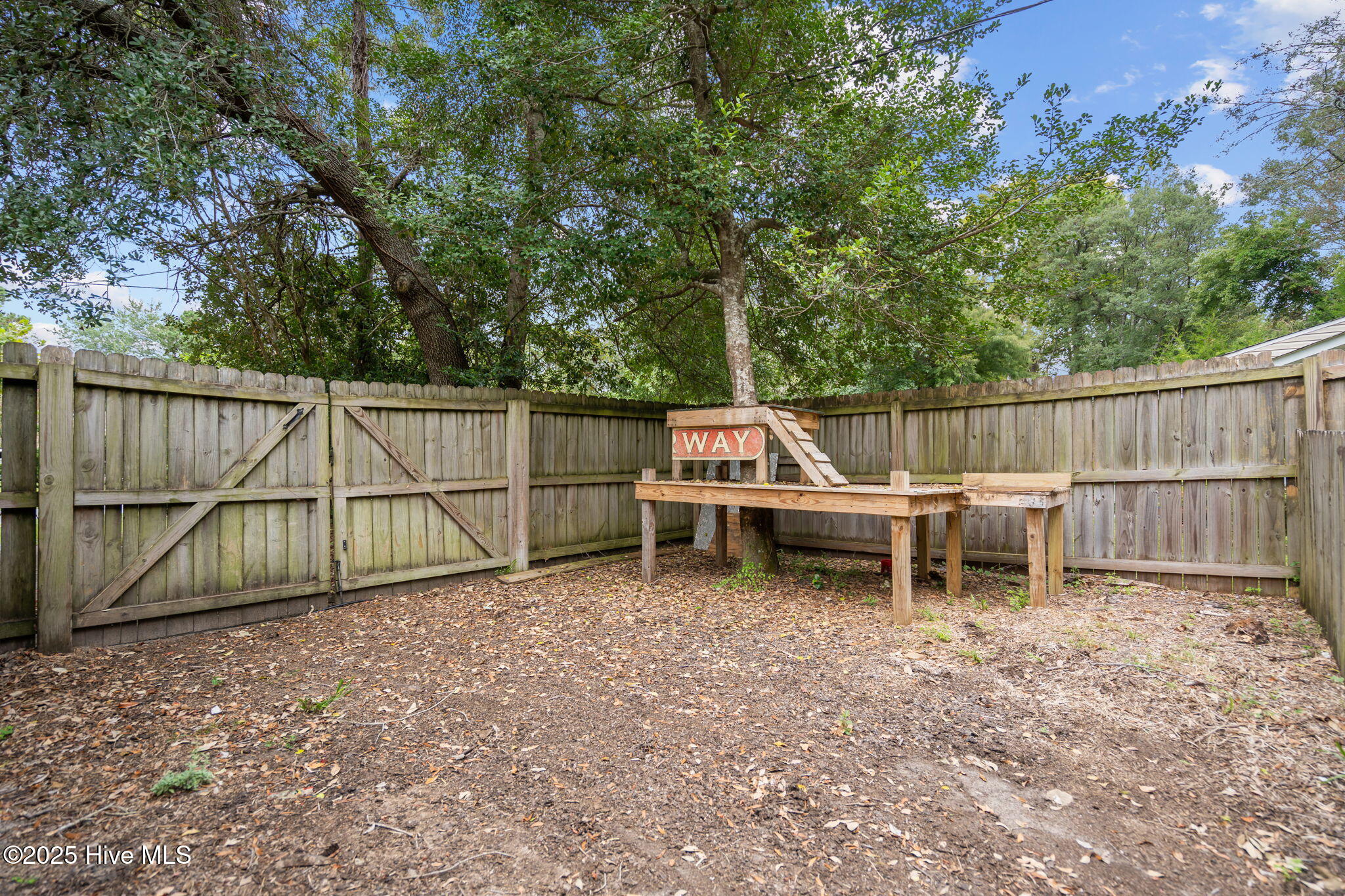 100531423 | Photo 39