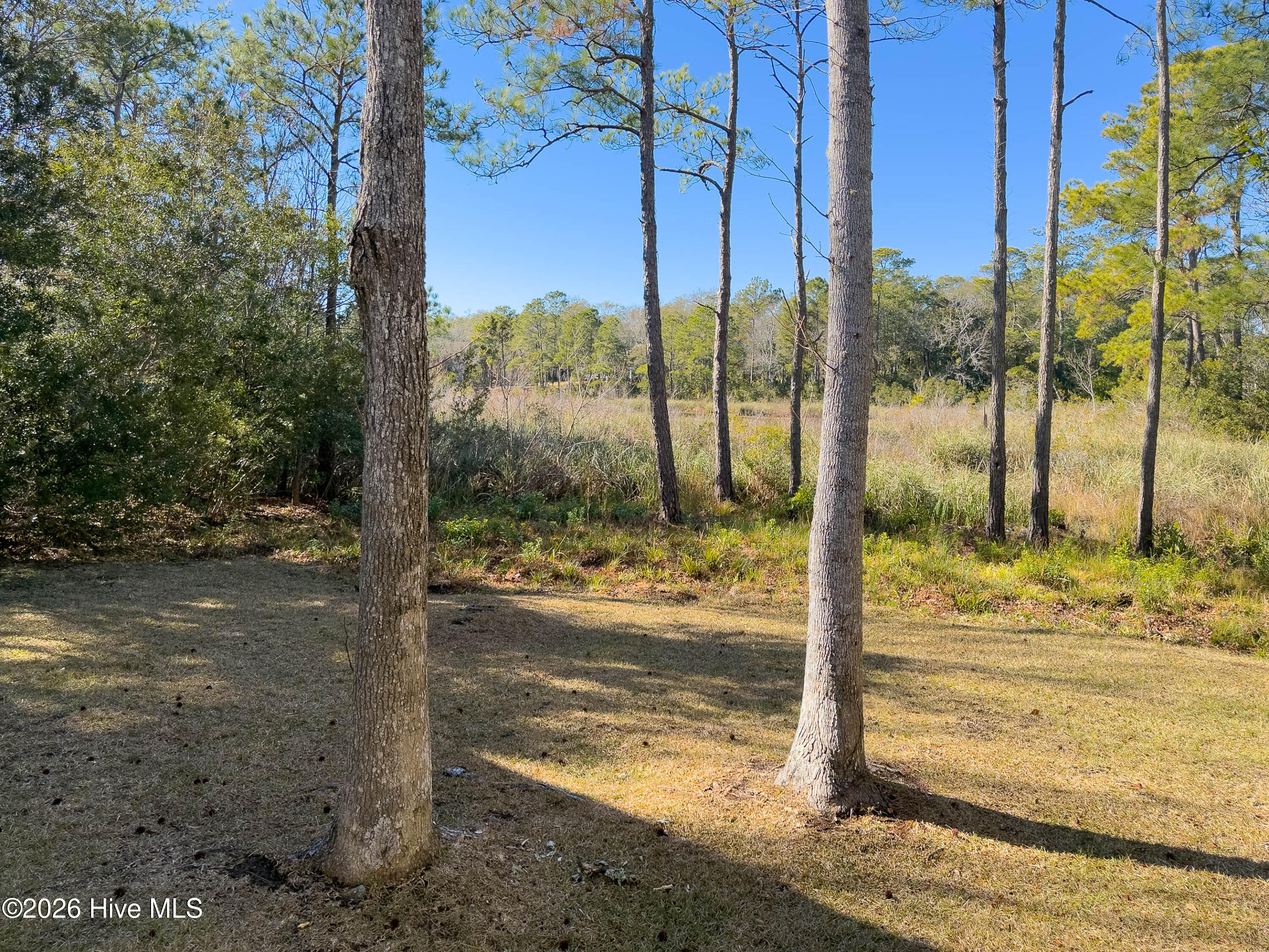 100563119 | Photo 57