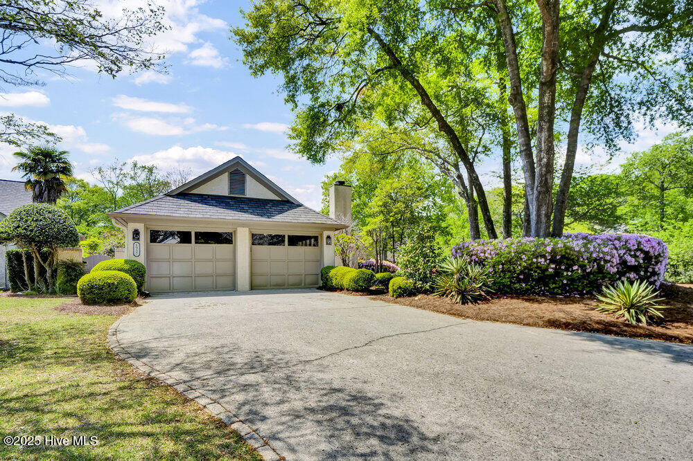 100551135 | Photo 40