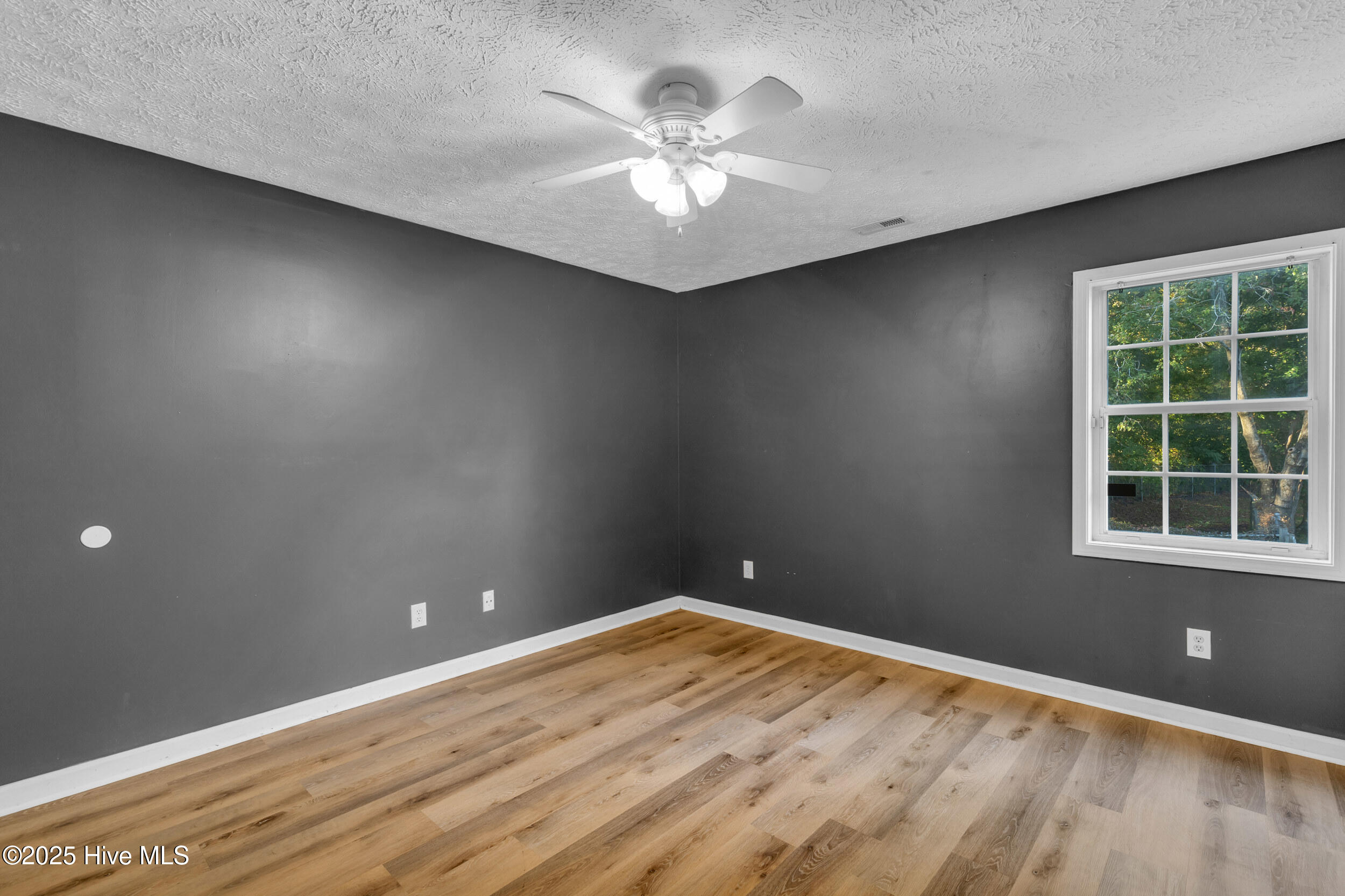 100540168 | Photo 18