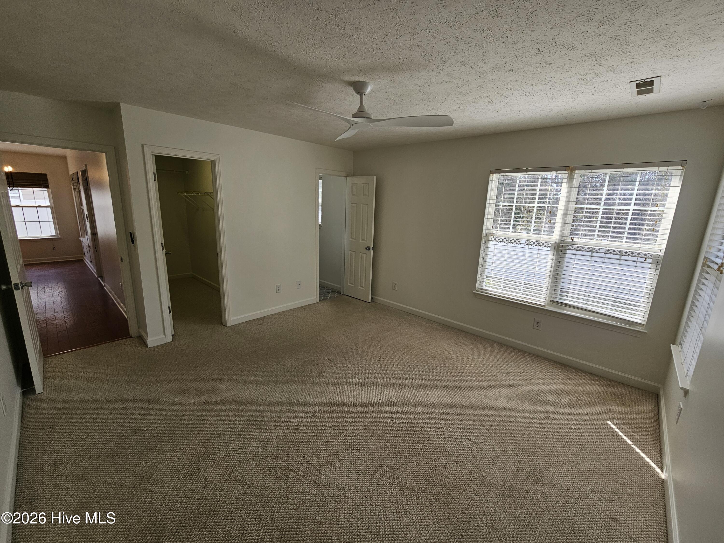 100557905 | Photo 23