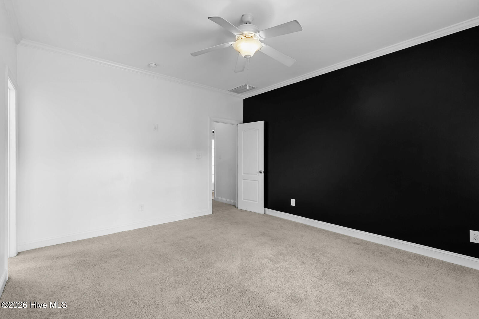 100564555 | Photo 15