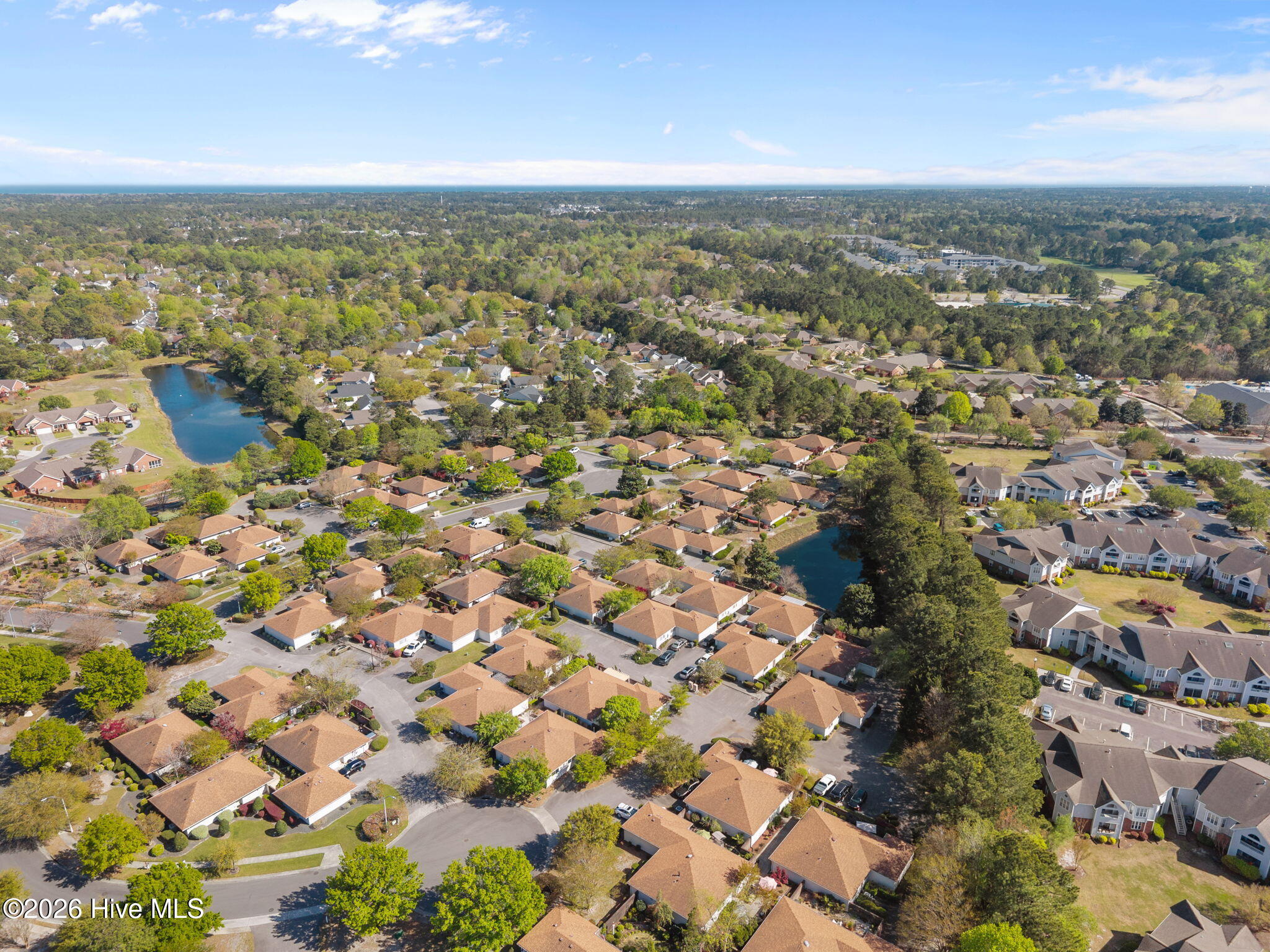 100564364 | Photo 55