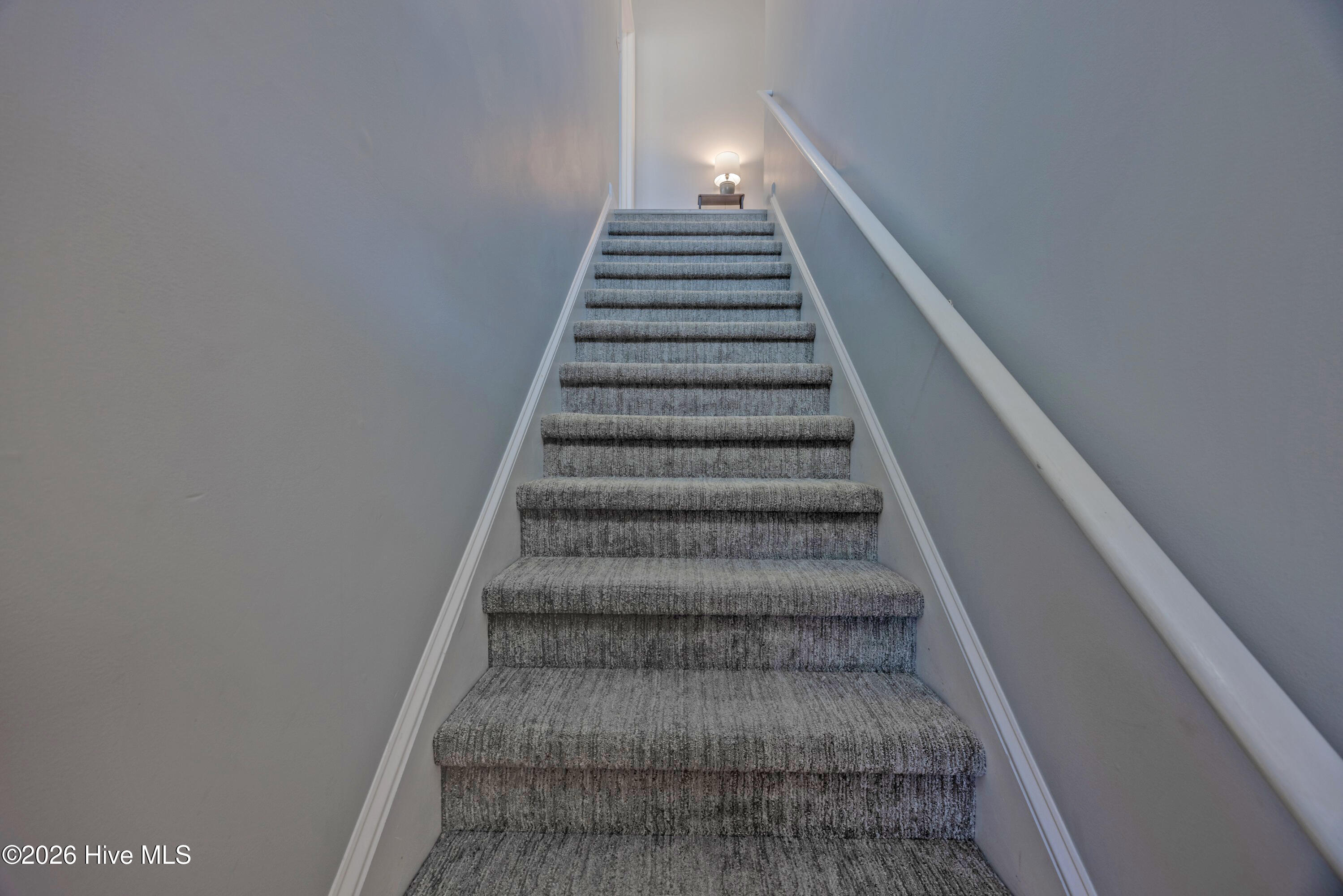 100562922 | Photo 18