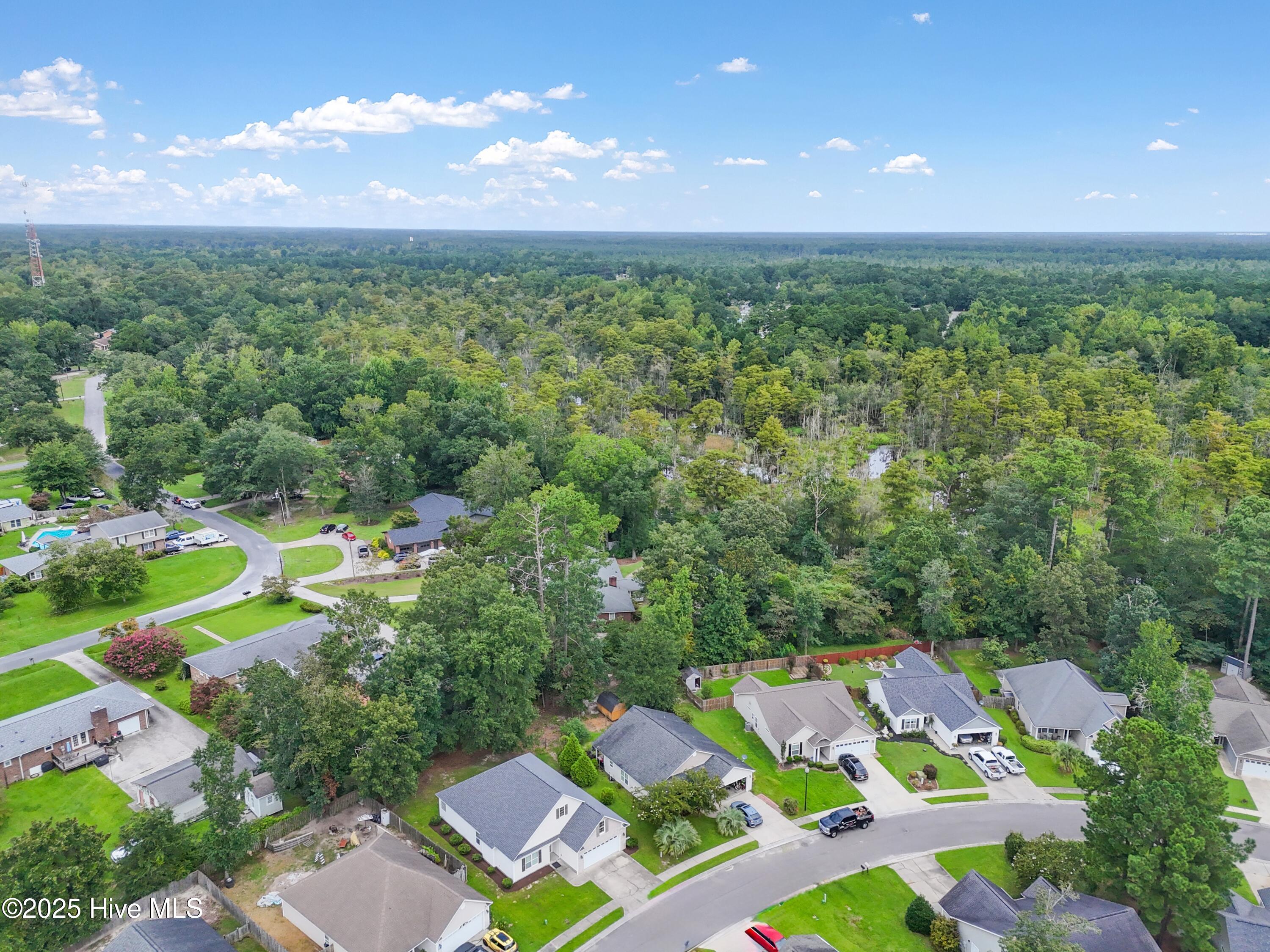 100527568 | Photo 38