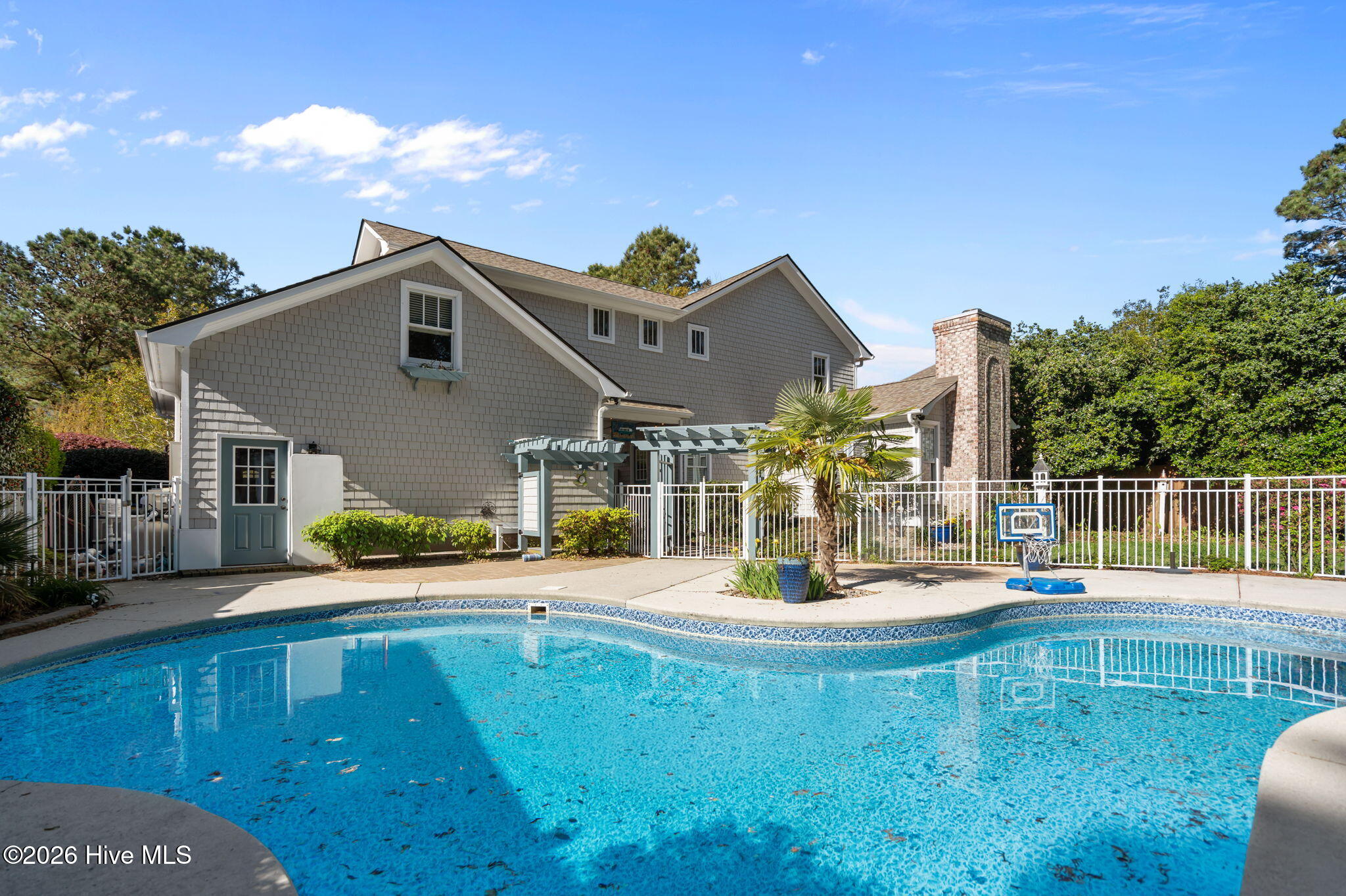 100565239 | Photo 65